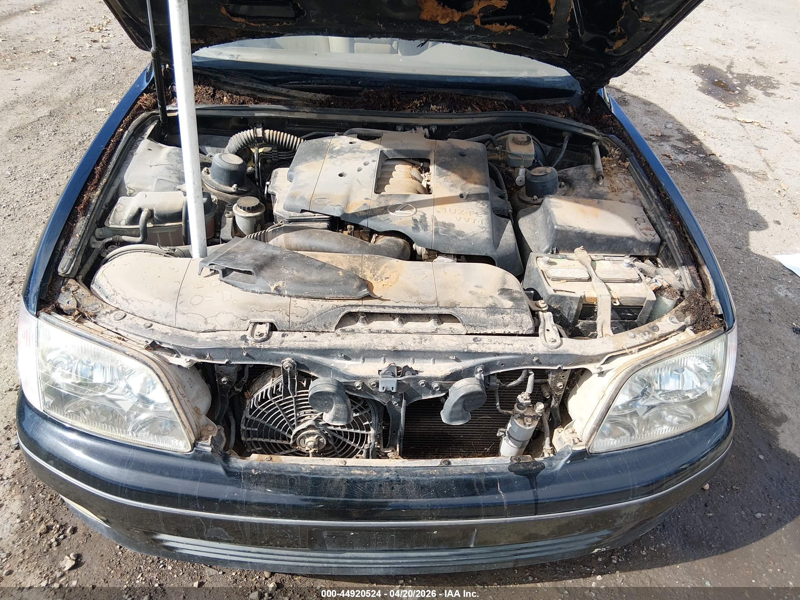 LEXUS LS image 10
