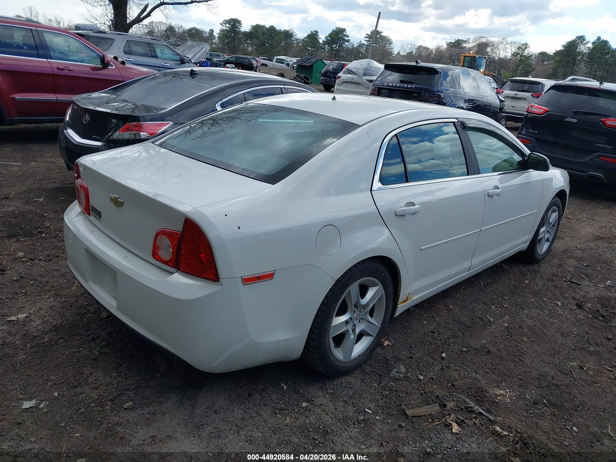 CHEVROLET MALIBU image 4