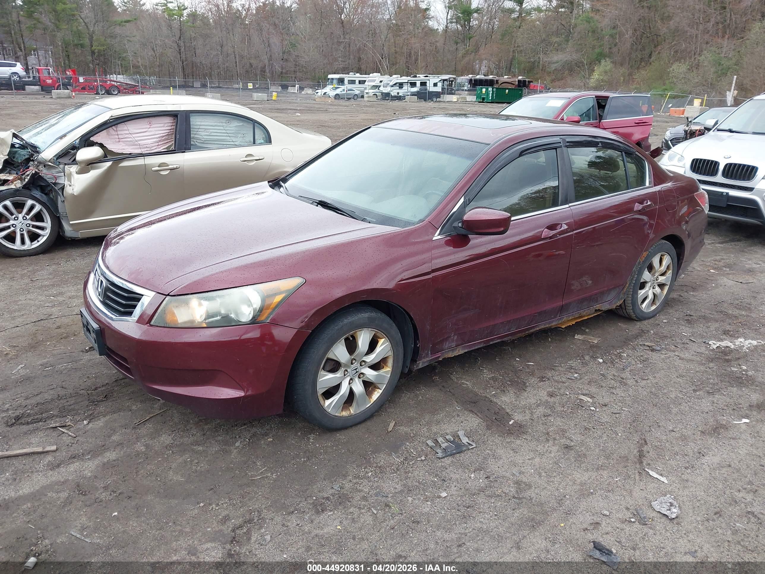 HONDA ACCORD image 2