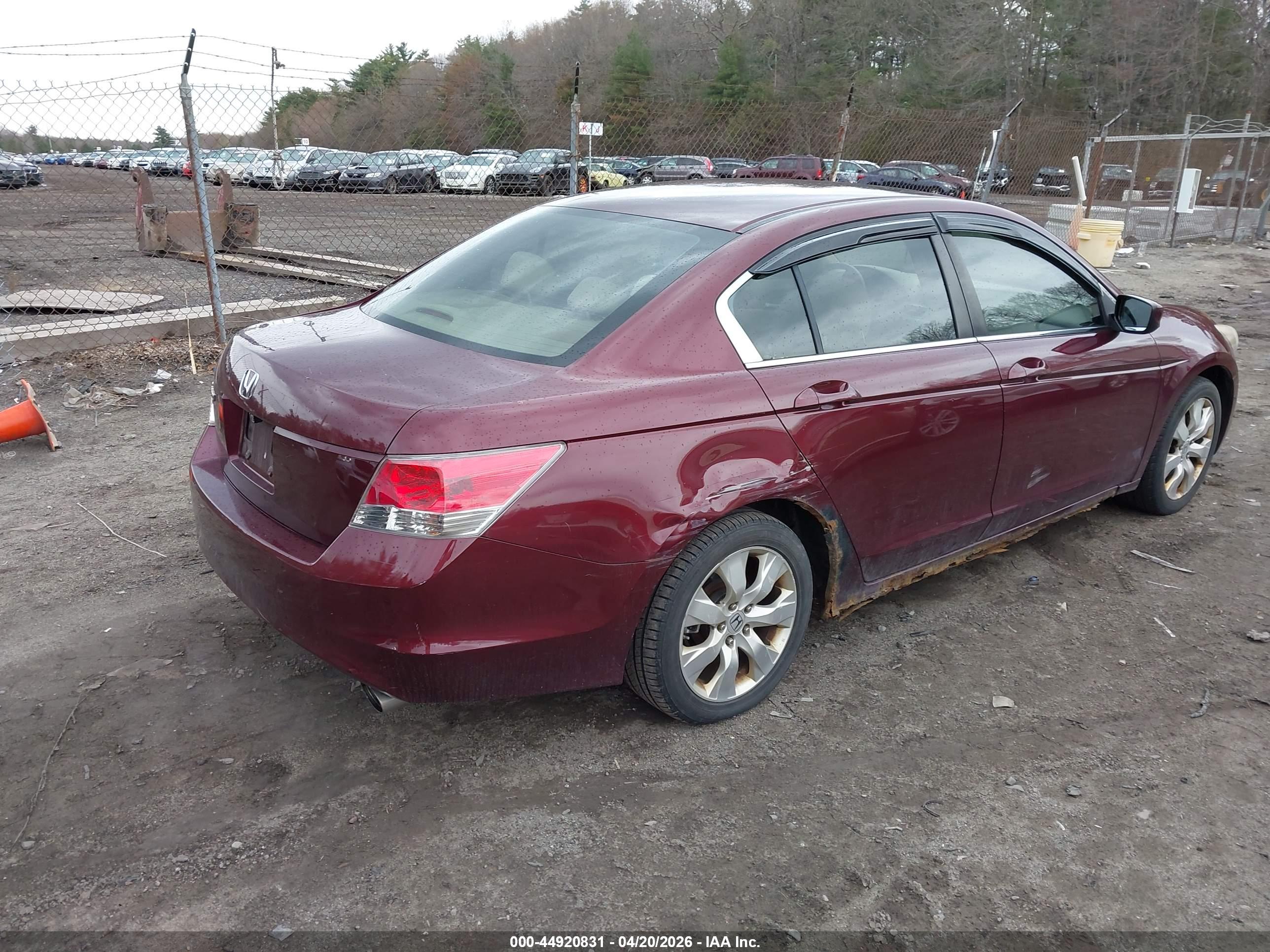 HONDA ACCORD image 4
