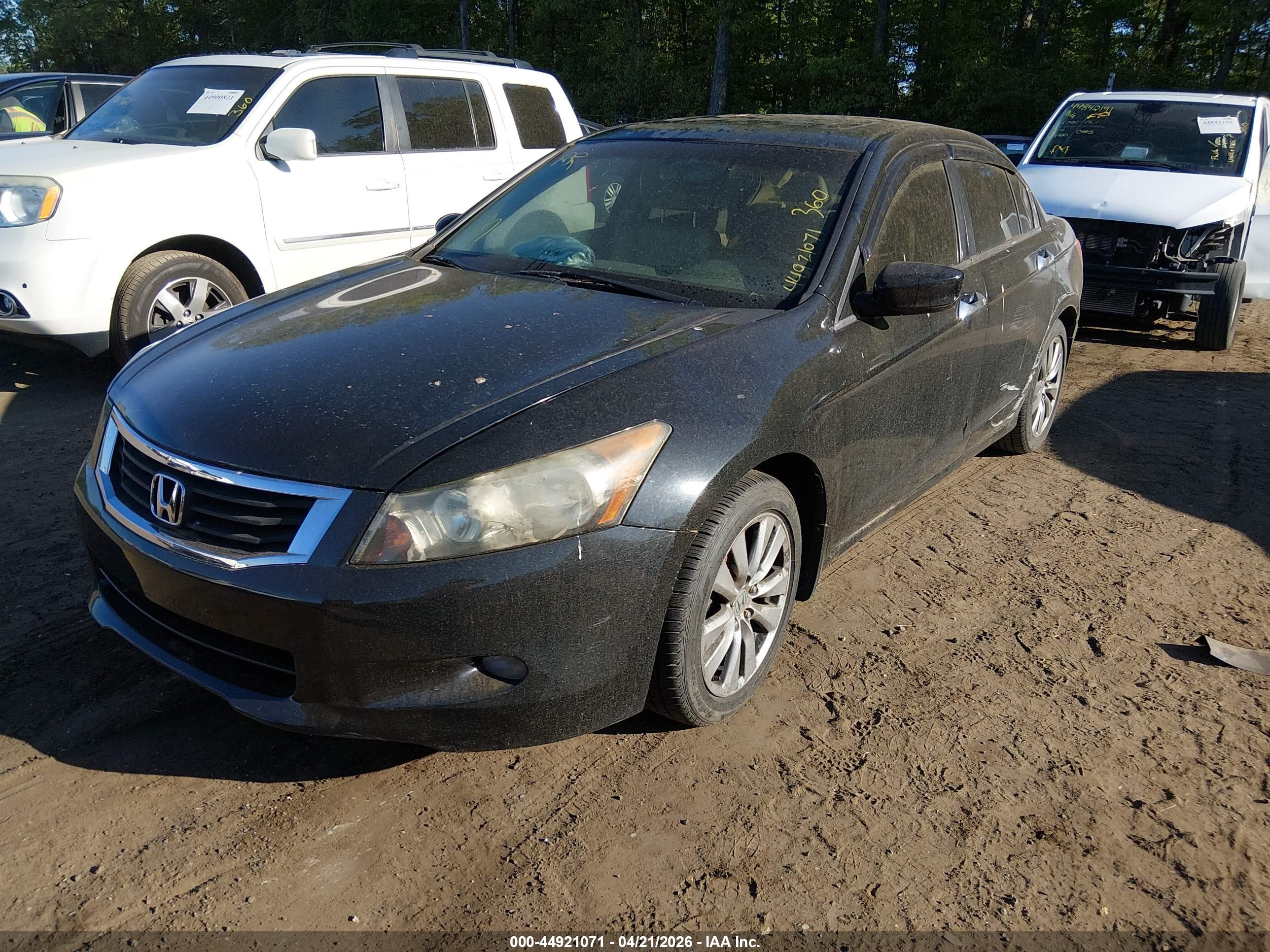 HONDA ACCORD image 2