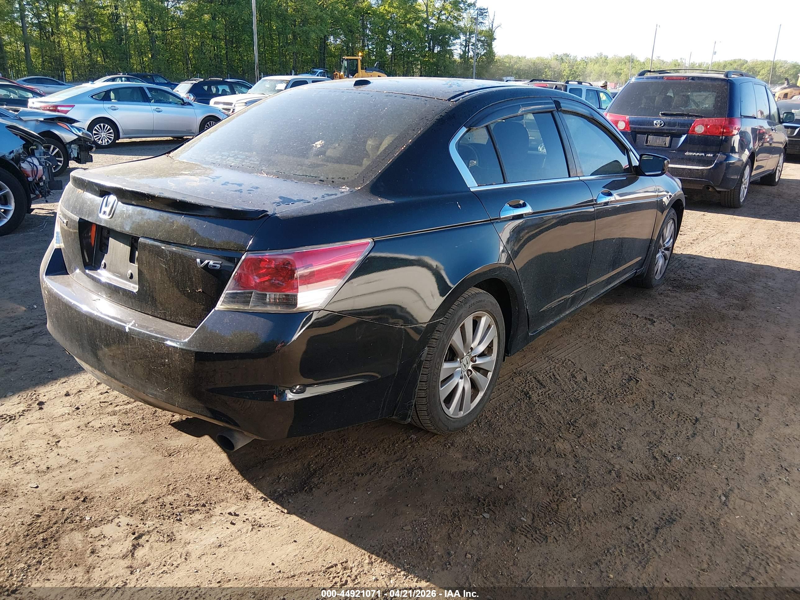 HONDA ACCORD image 4