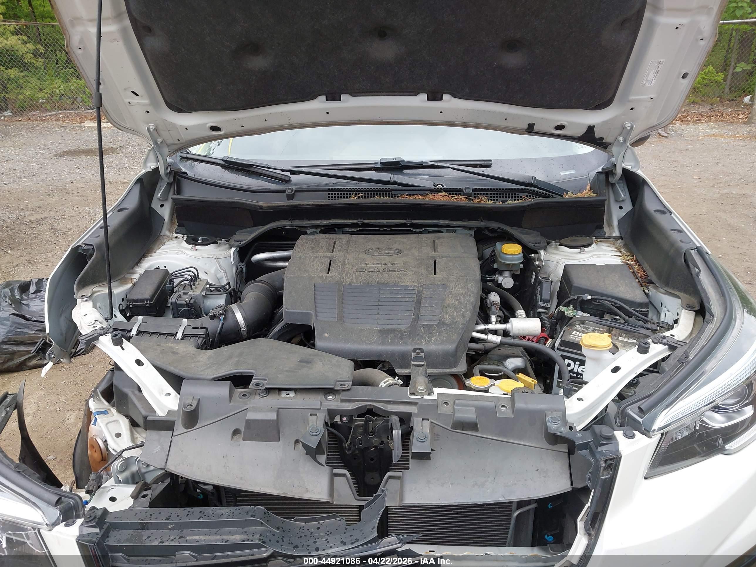 SUBARU FORESTER image 10