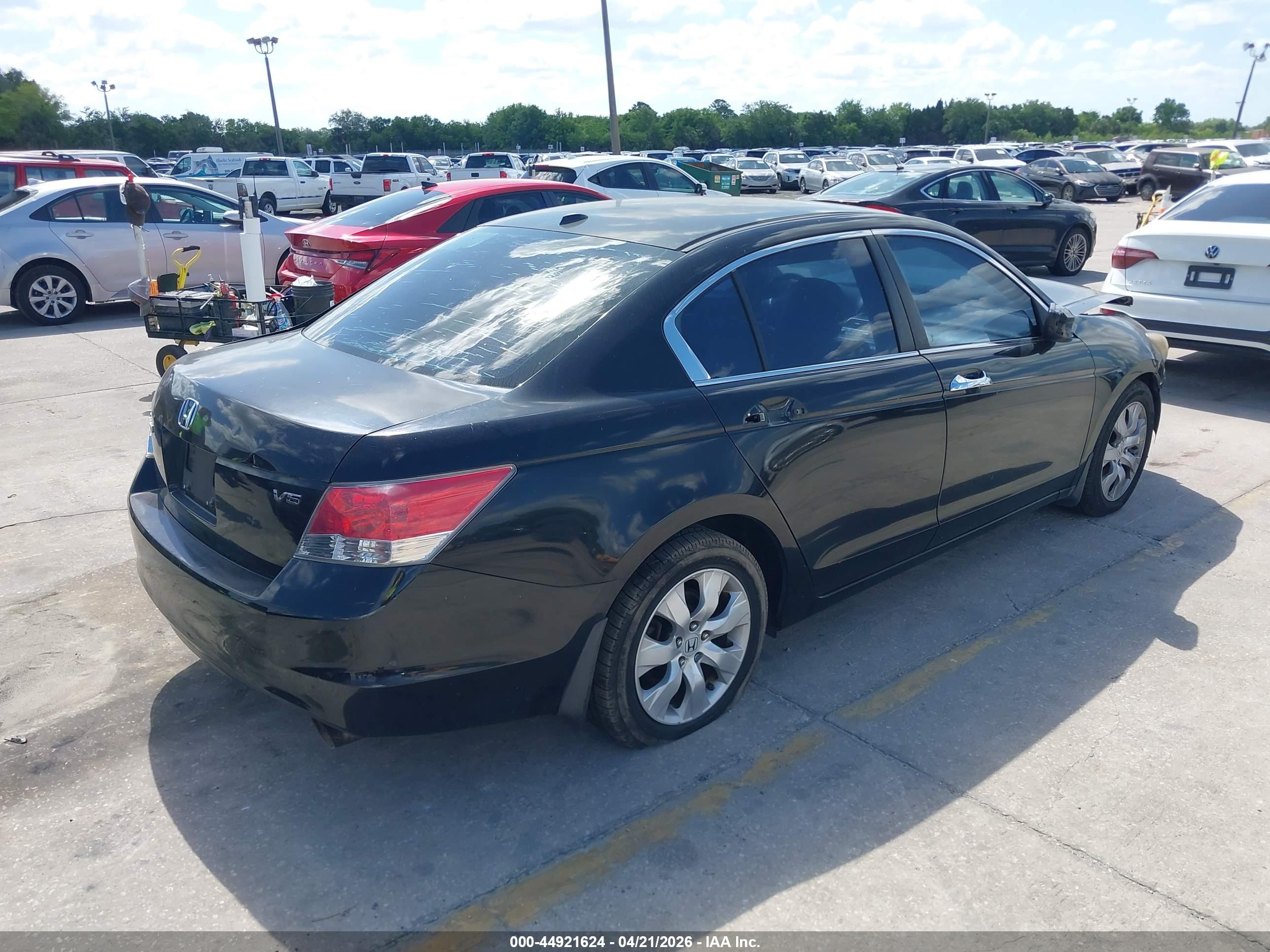 HONDA ACCORD image 4