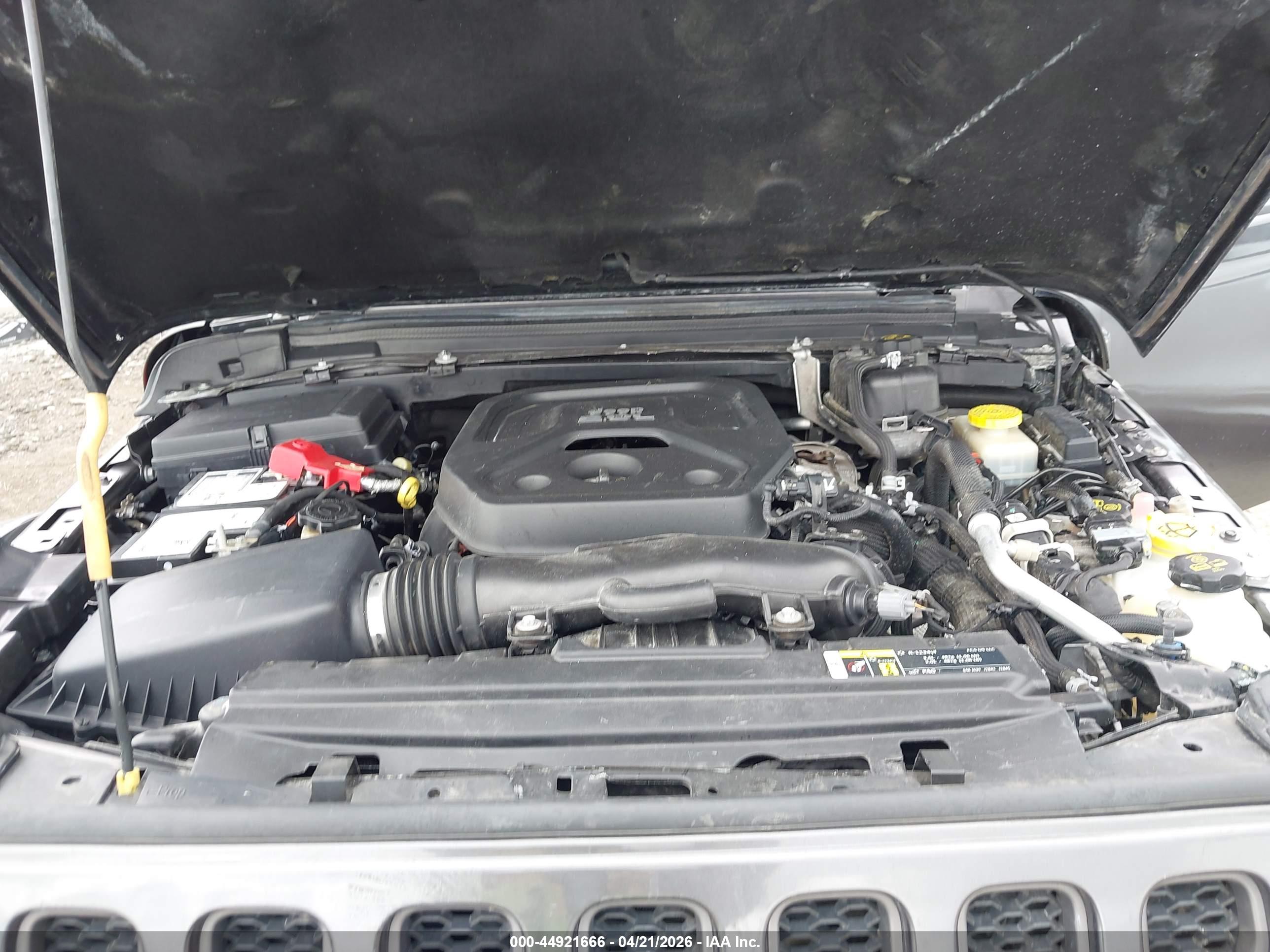 JEEP WRANGLER image 10