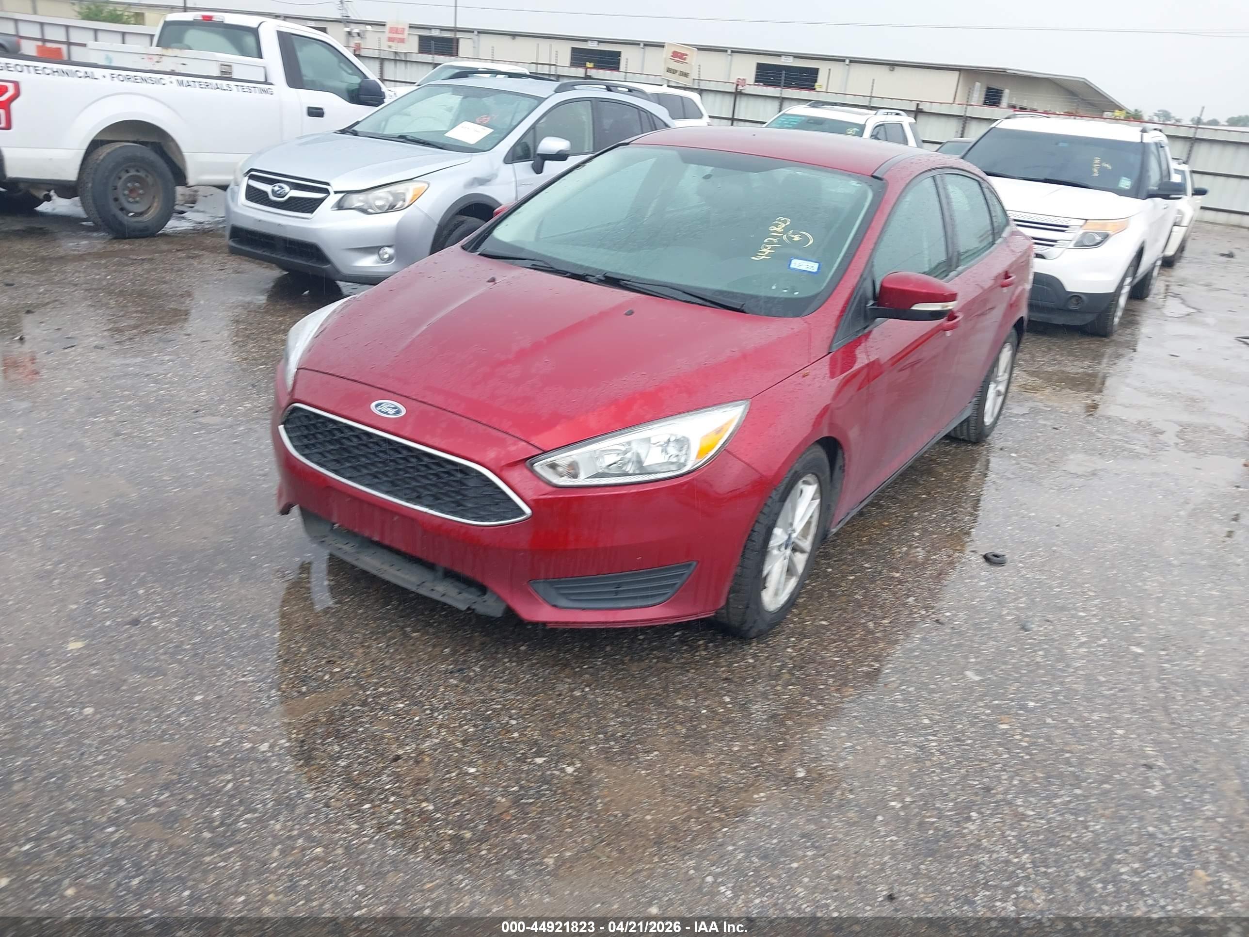 FORD FOCUS image 2