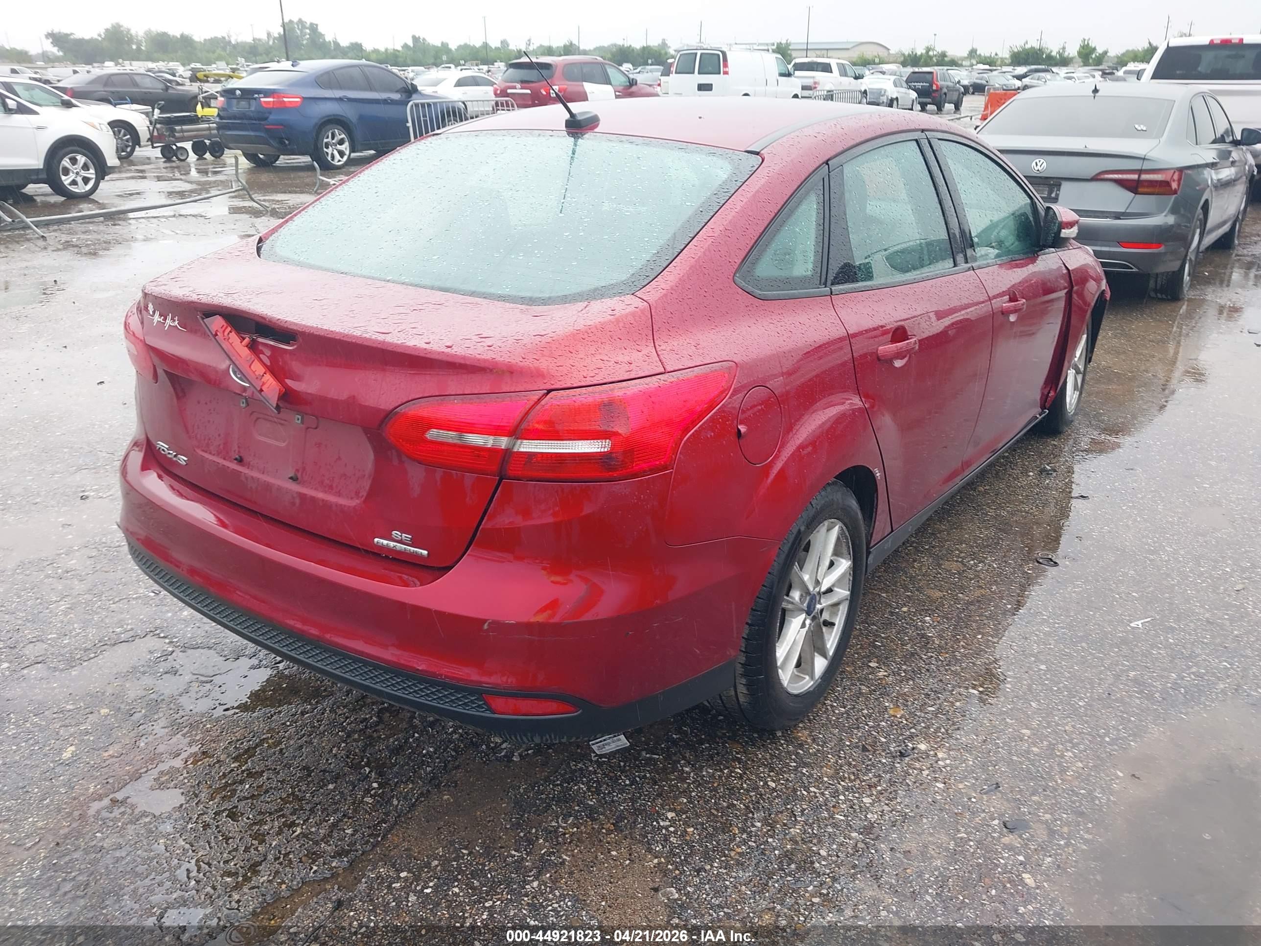 FORD FOCUS image 4