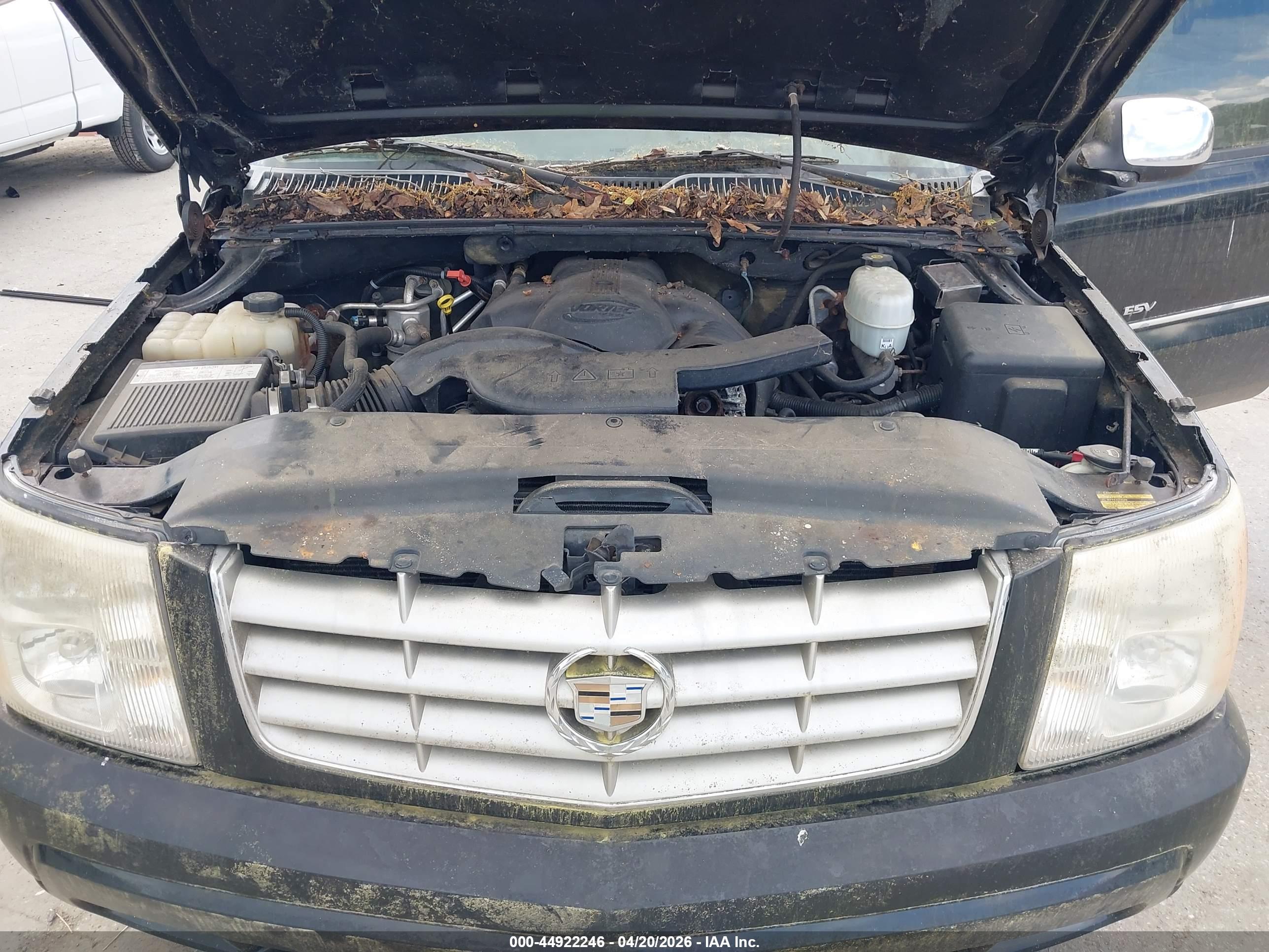 CADILLAC ESCALADE image 10