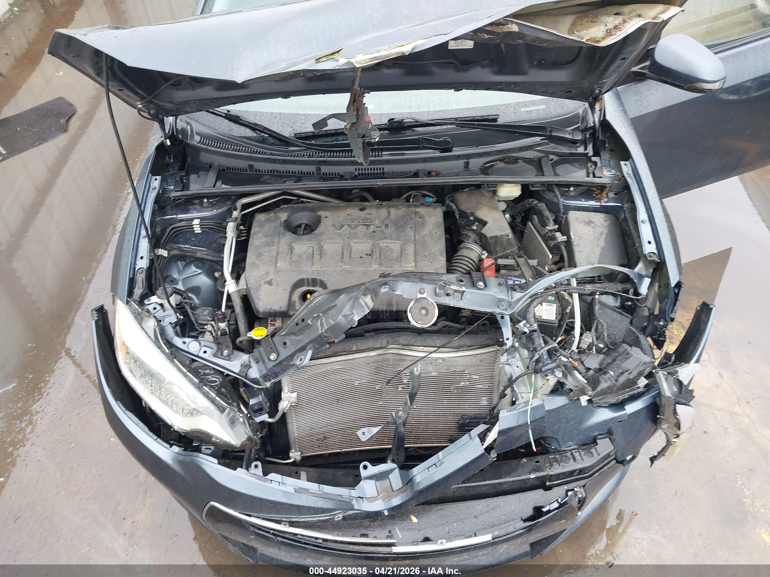 TOYOTA COROLLA image 10