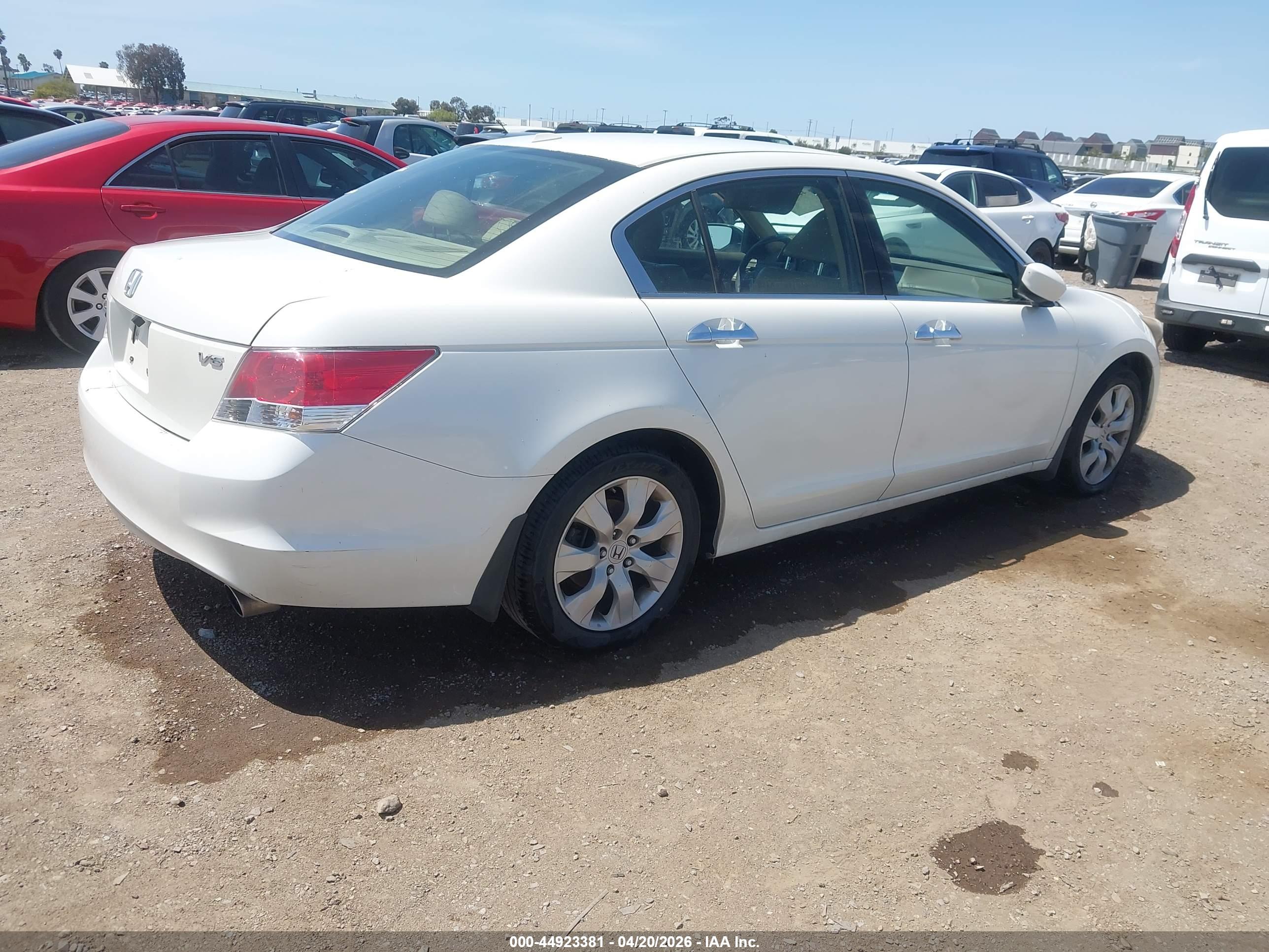 HONDA ACCORD image 4
