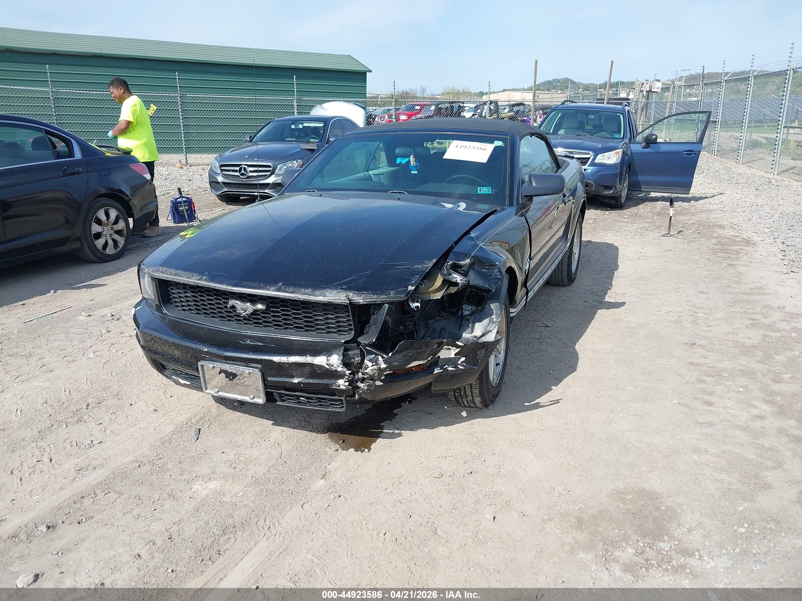 FORD MUSTANG image 2