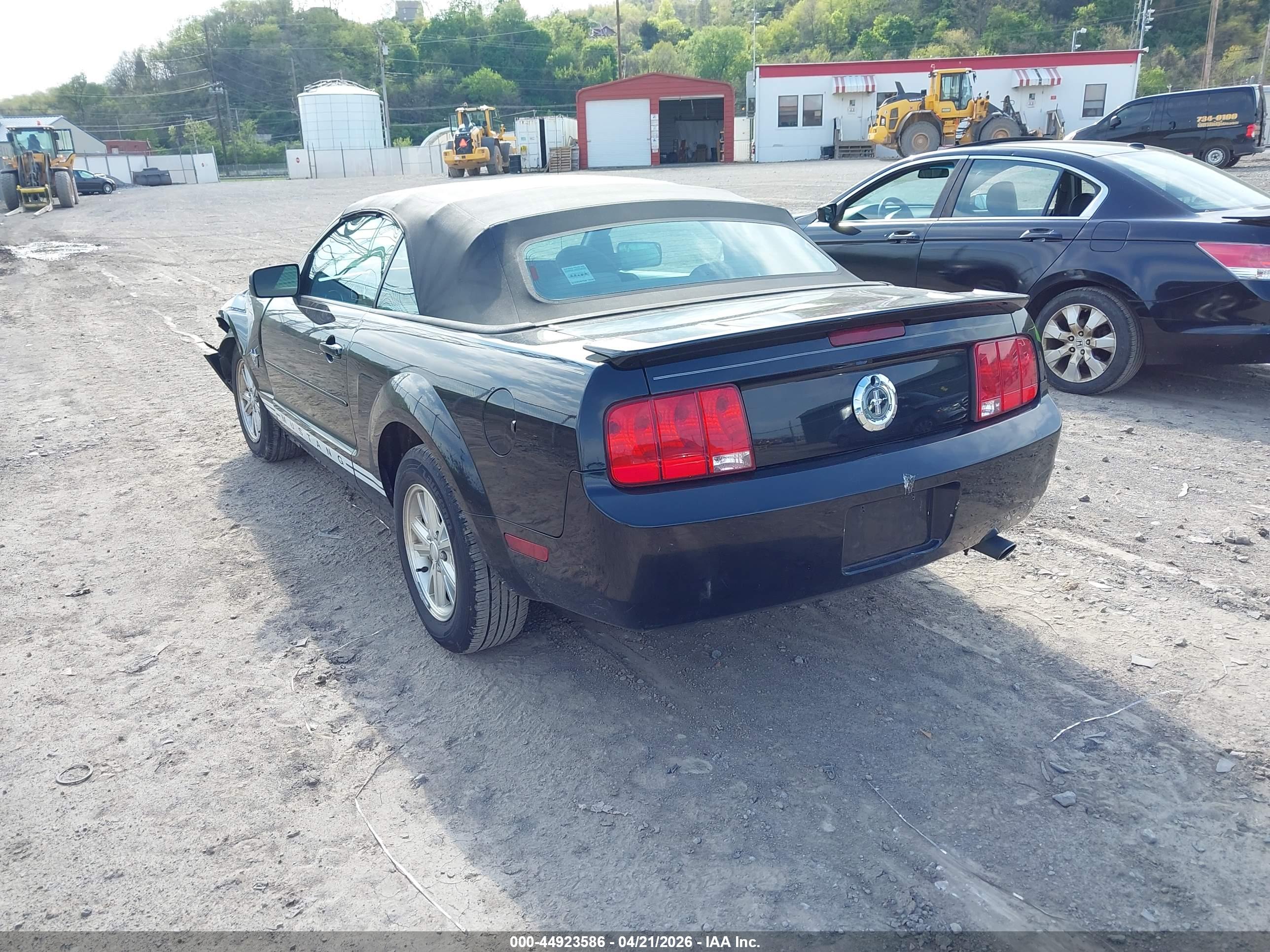 FORD MUSTANG image 3
