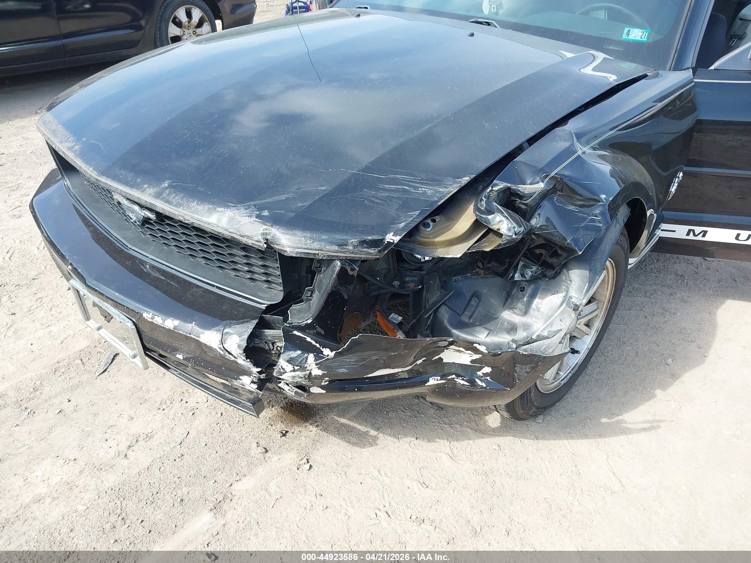 FORD MUSTANG image 6