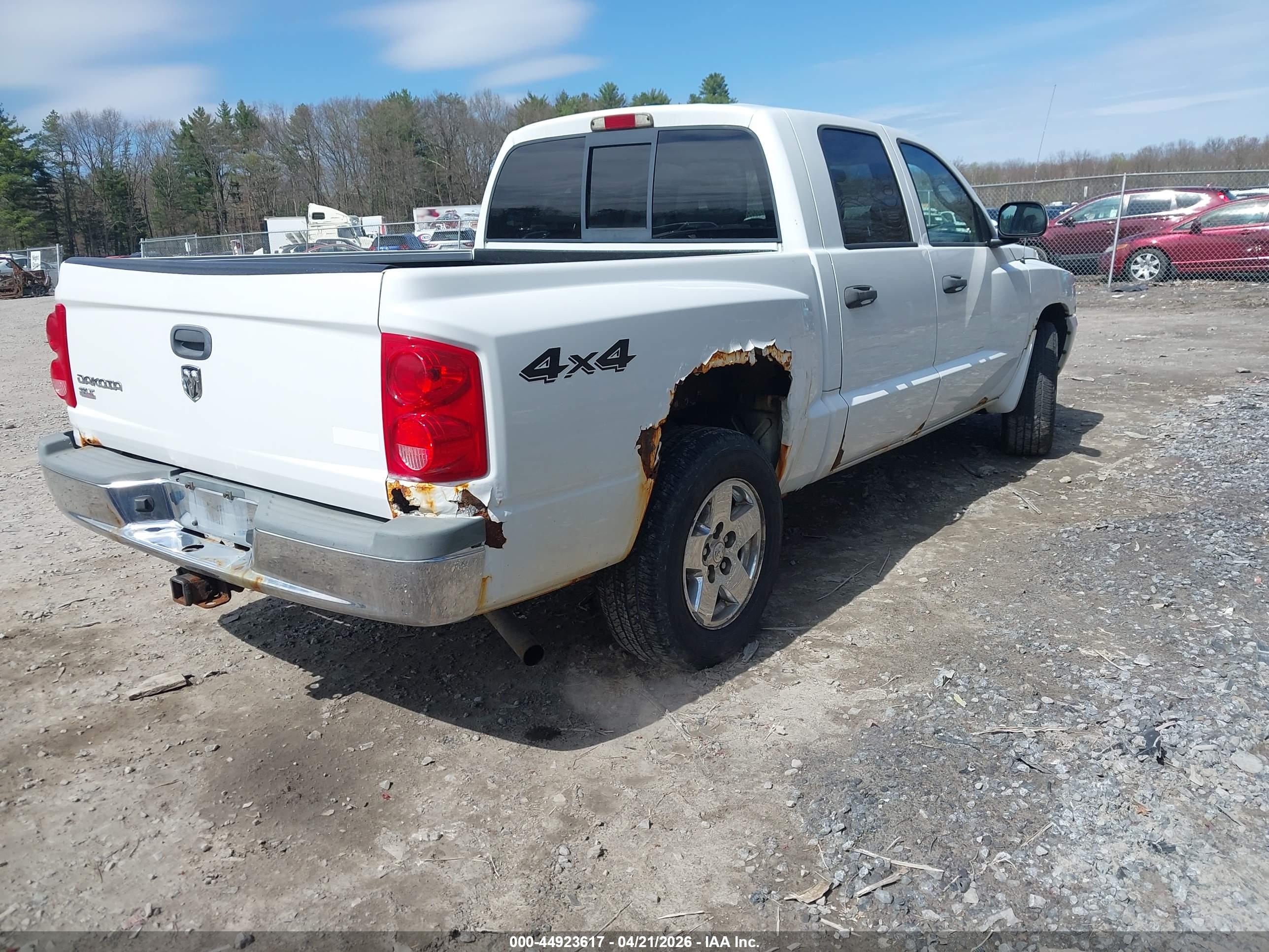 DODGE DAKOTA image 4