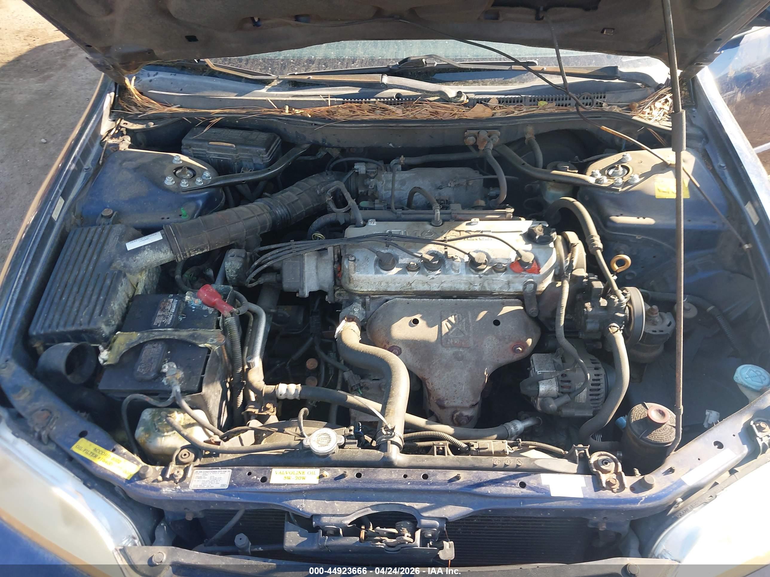 HONDA ACCORD image 10