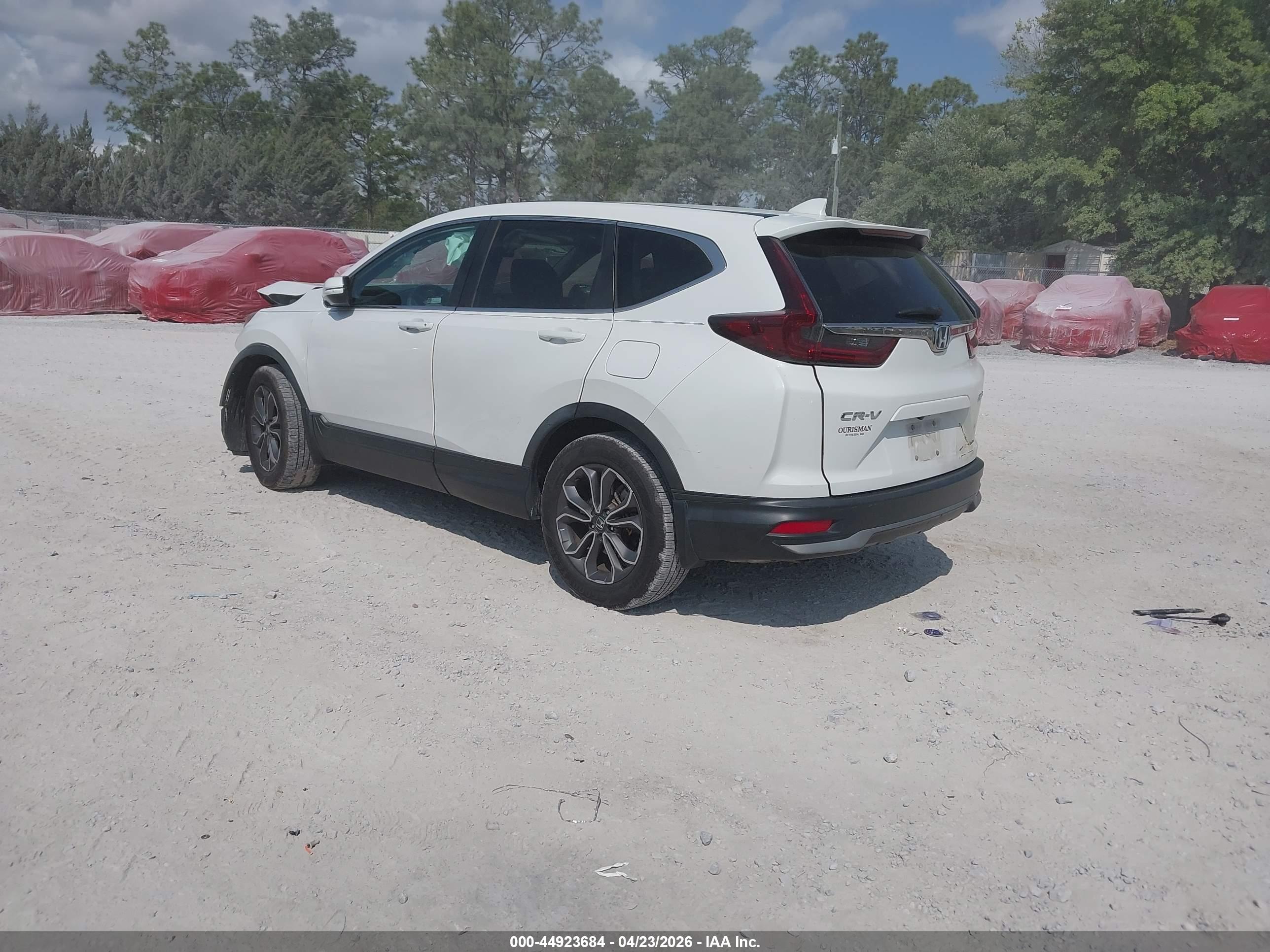 HONDA CR-V image 3