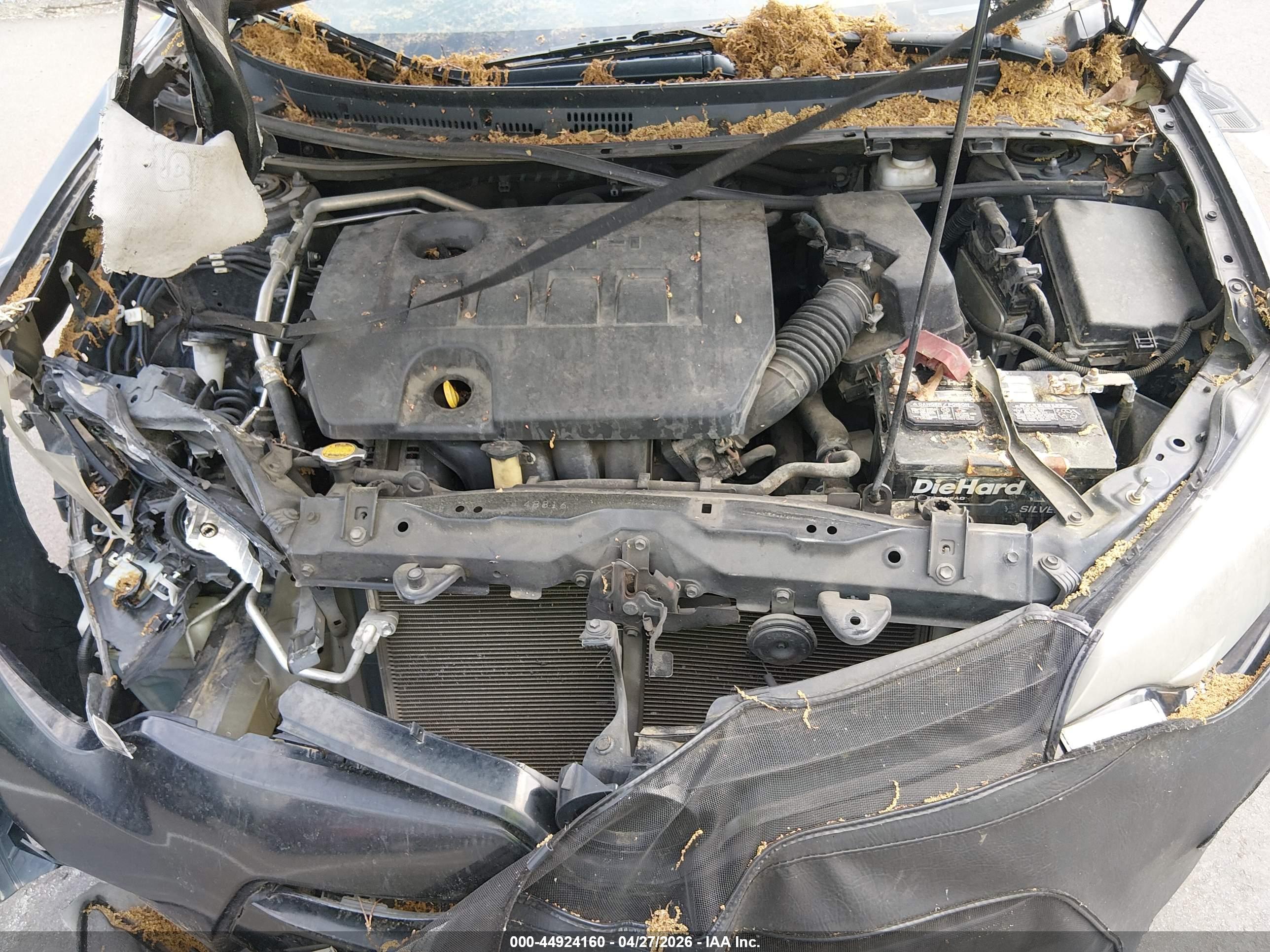 TOYOTA COROLLA image 10