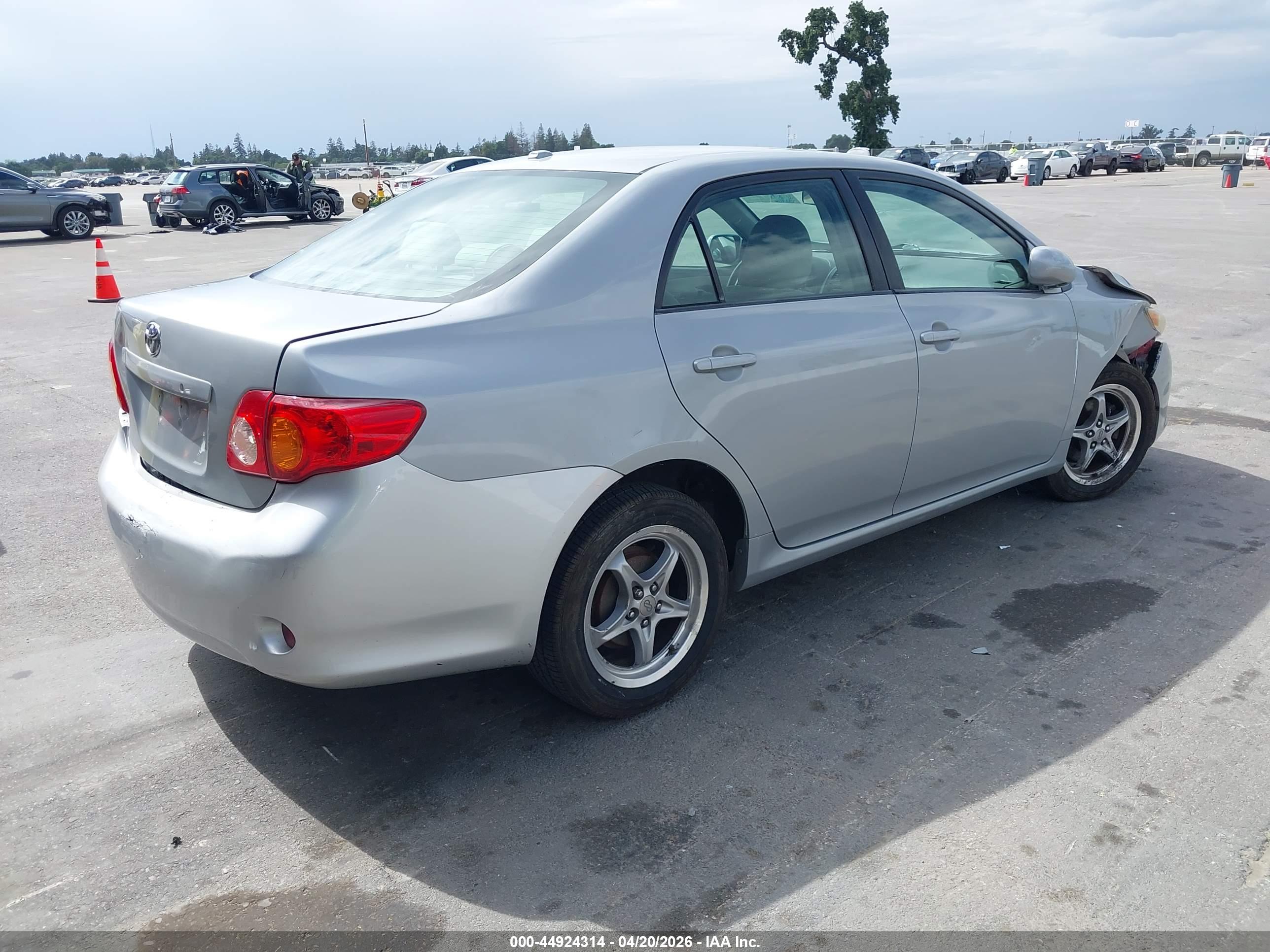 TOYOTA COROLLA image 4