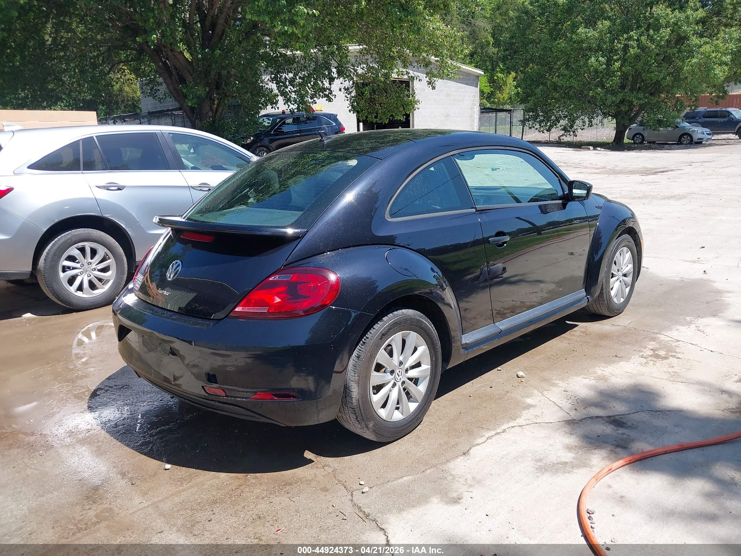 VOLKSWAGEN BEETLE image 4