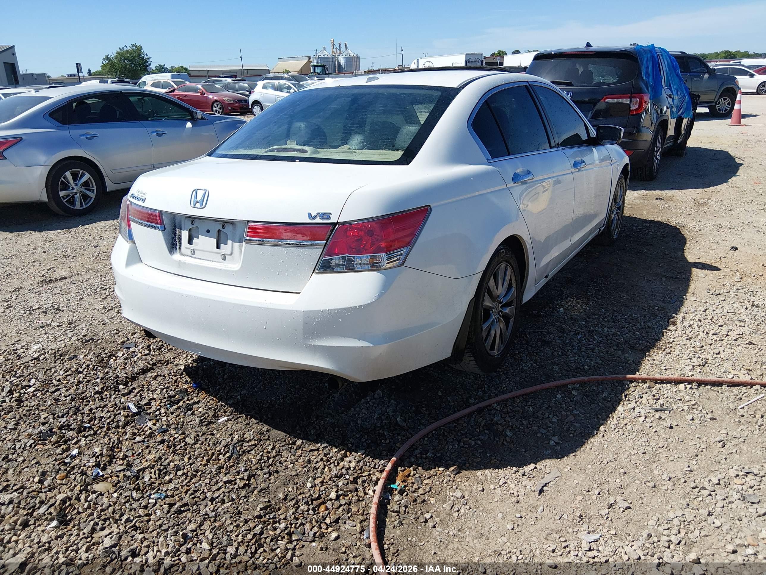 HONDA ACCORD image 4