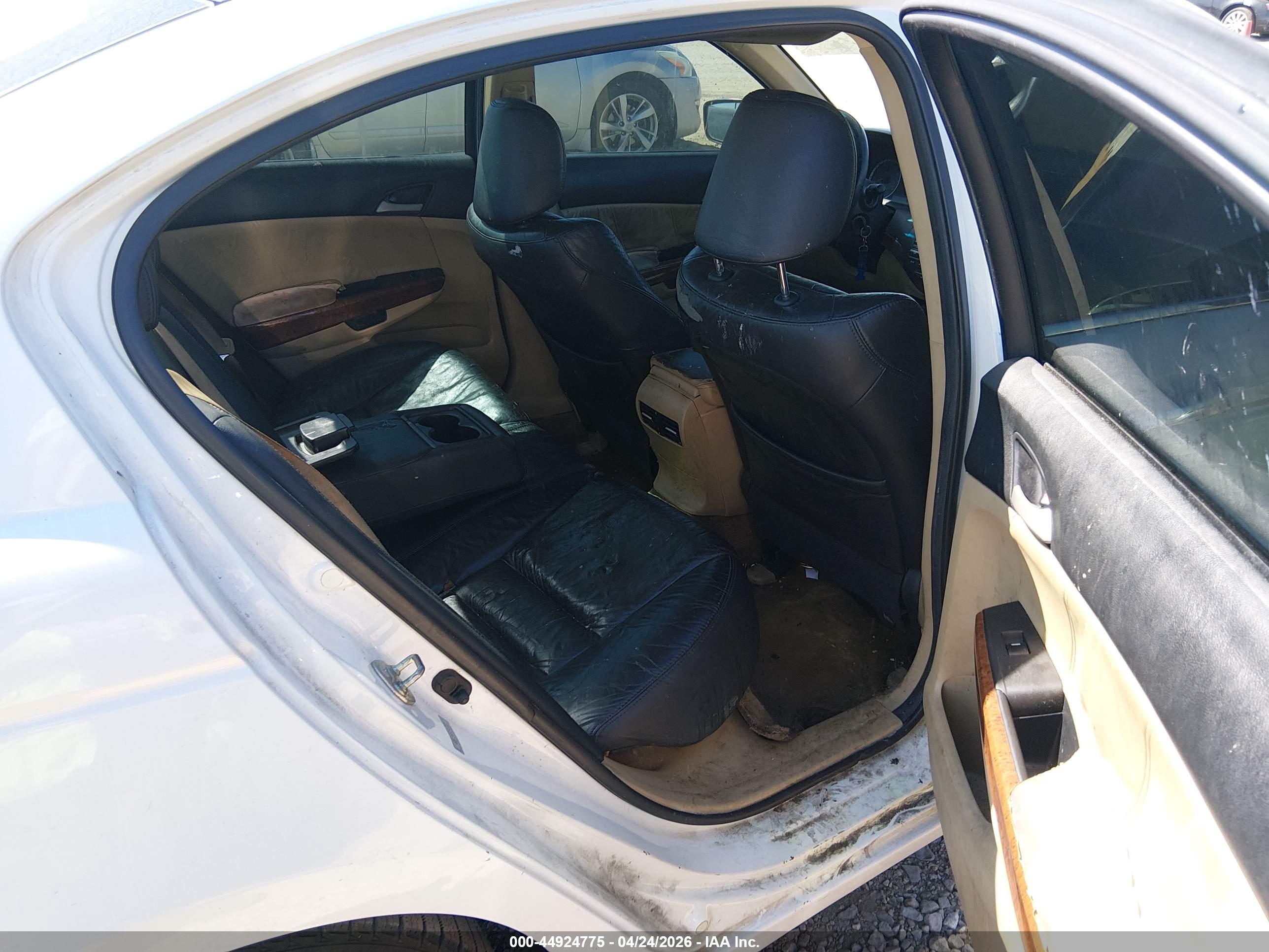 HONDA ACCORD image 8