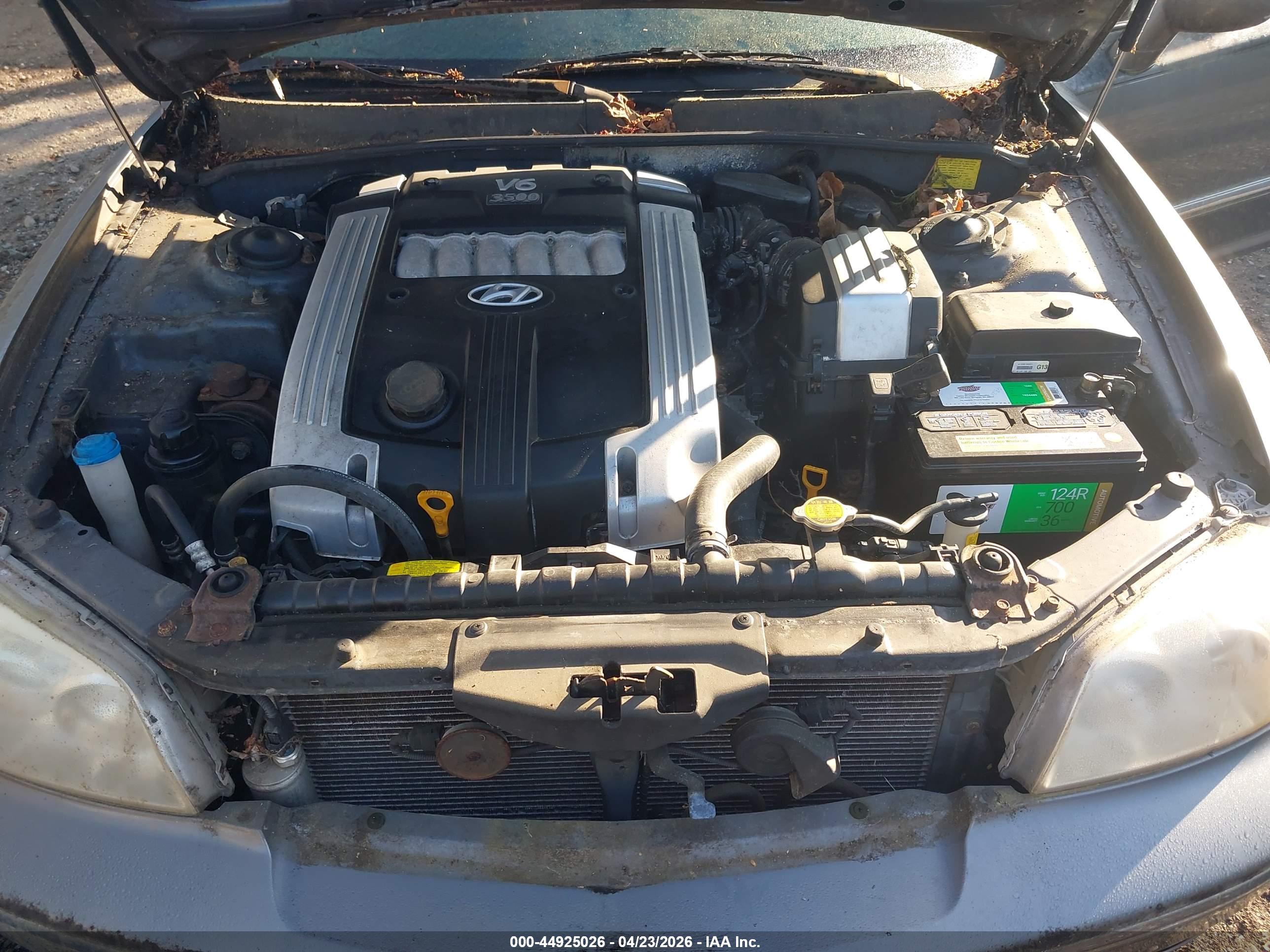 HYUNDAI XG350 image 10