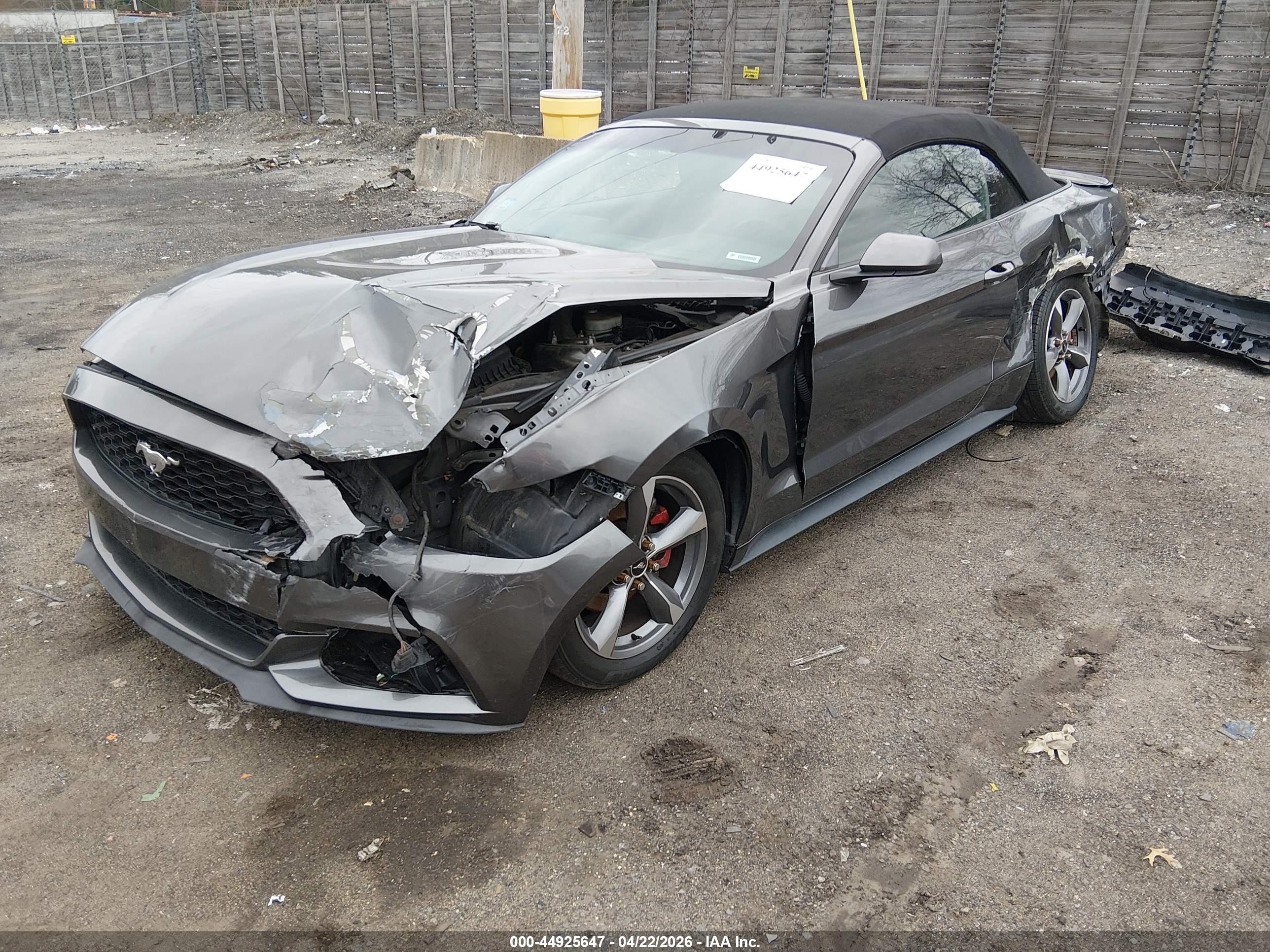 FORD MUSTANG image 2
