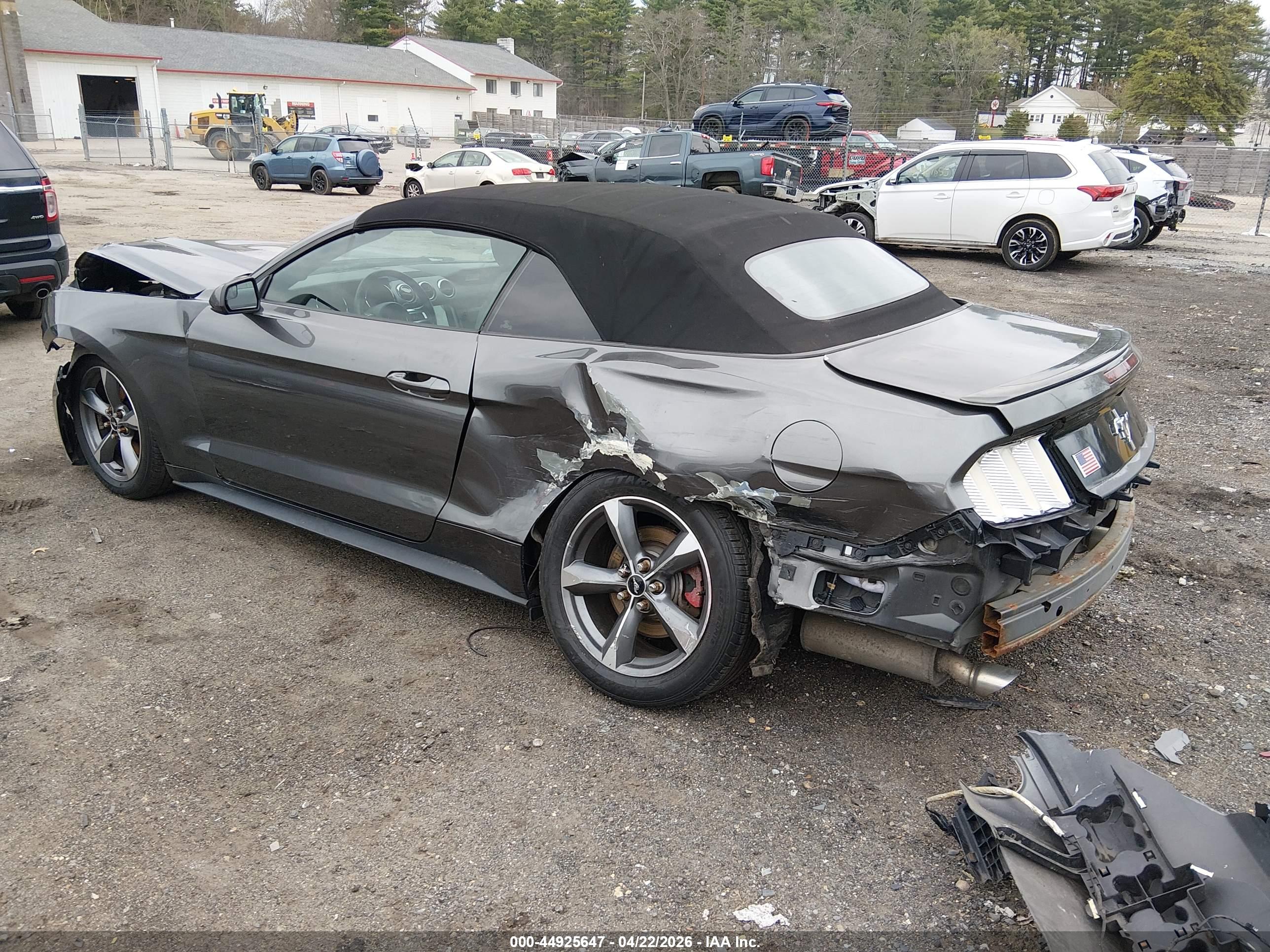 FORD MUSTANG image 3