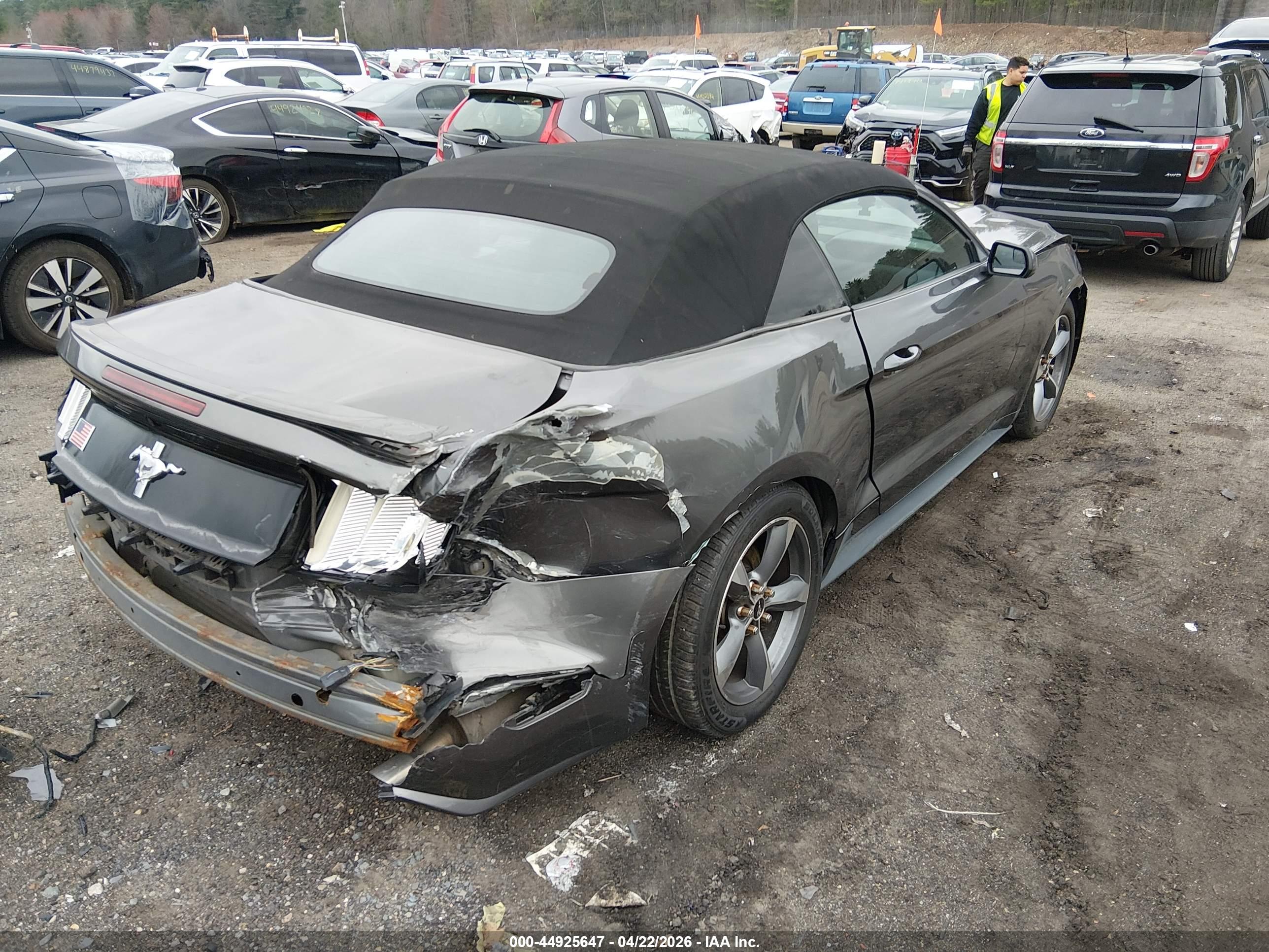 FORD MUSTANG image 4