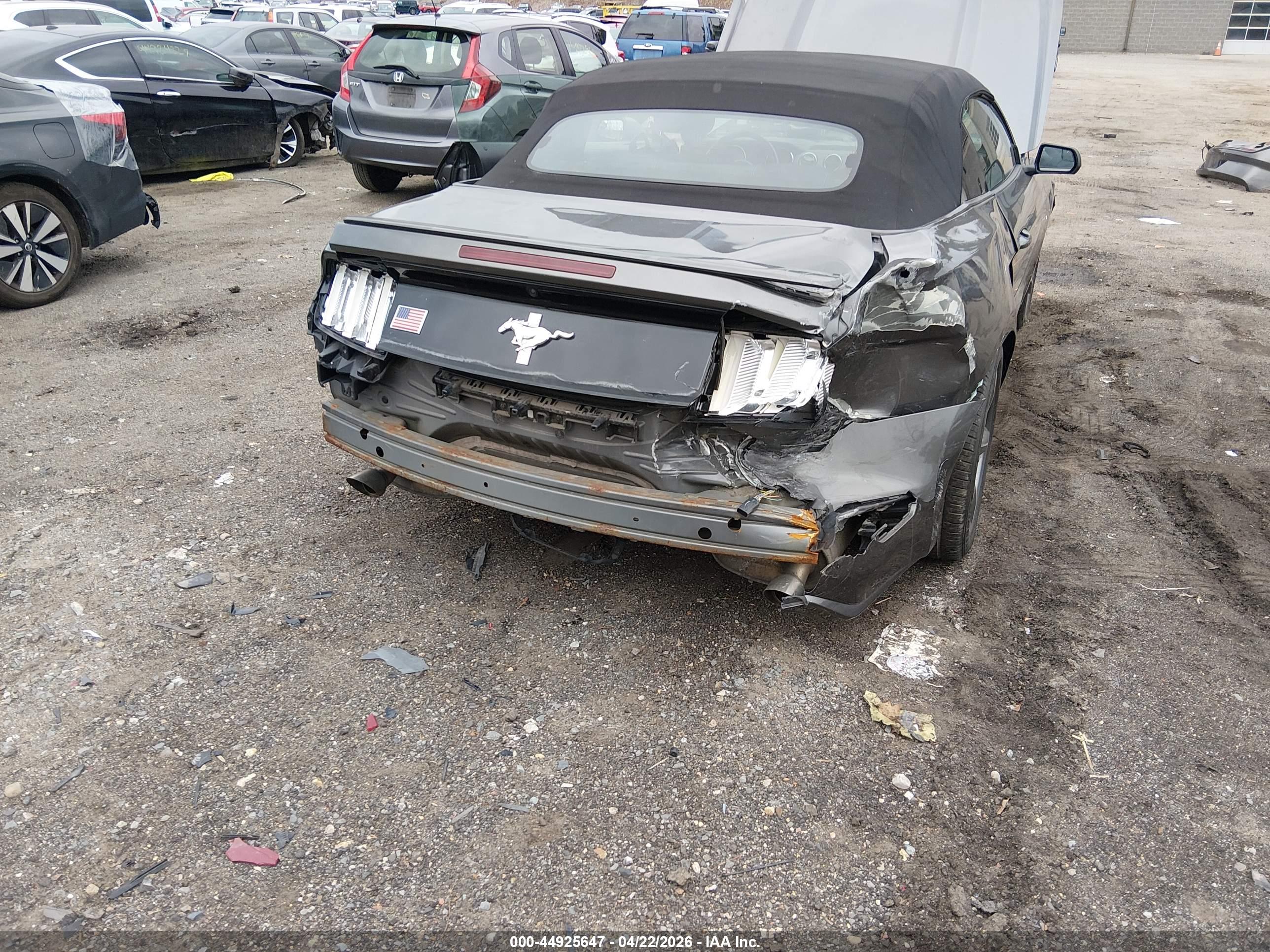 FORD MUSTANG image 6