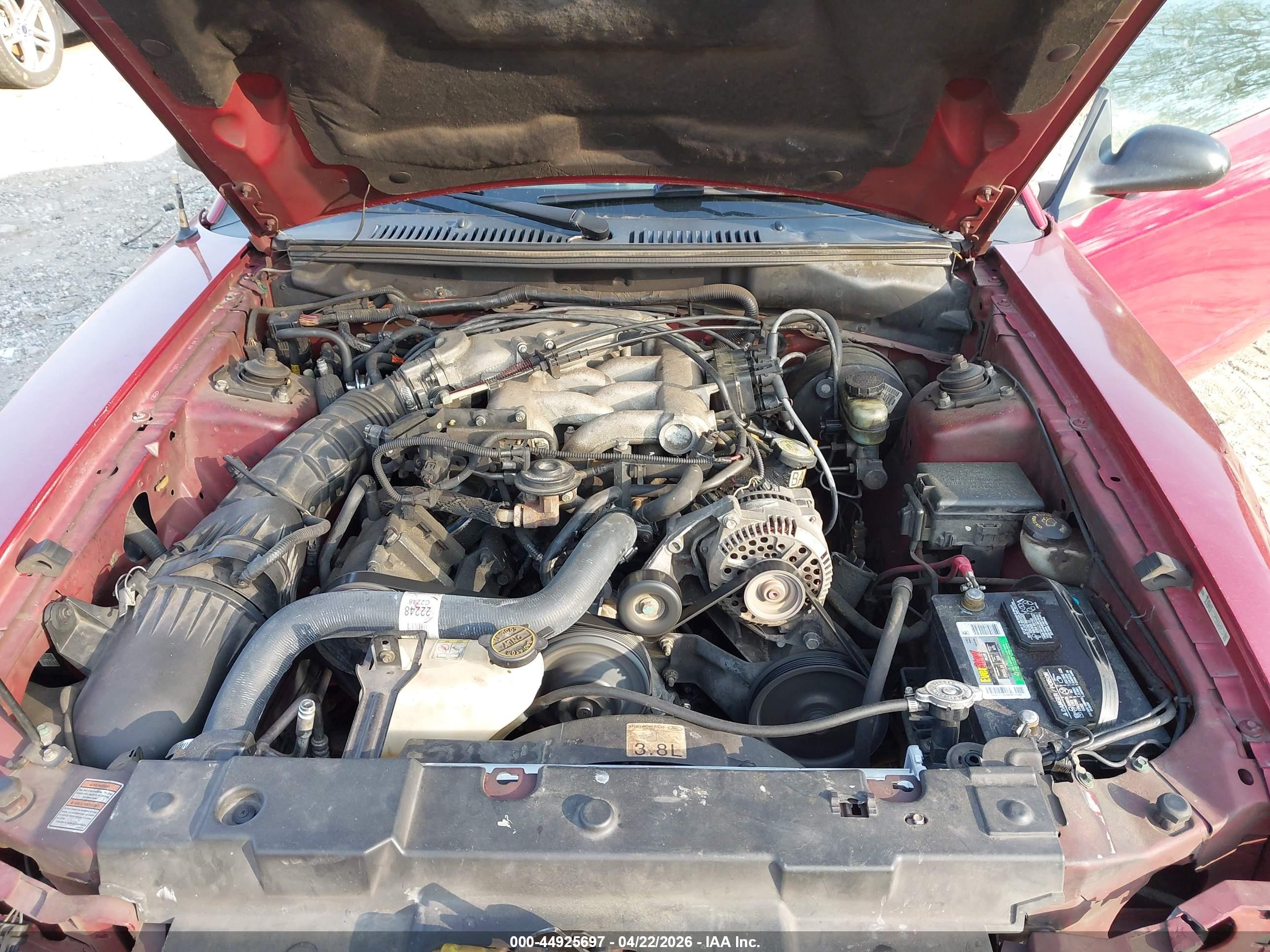 FORD MUSTANG image 10