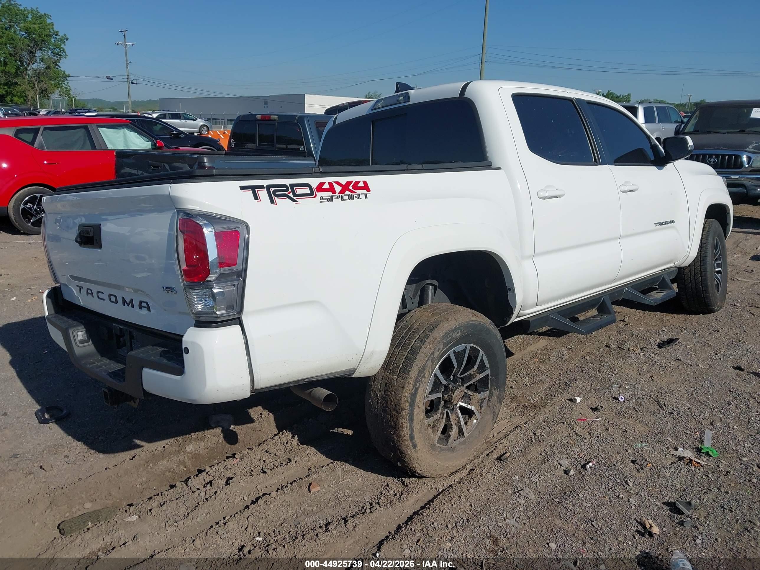TOYOTA TACOMA image 4