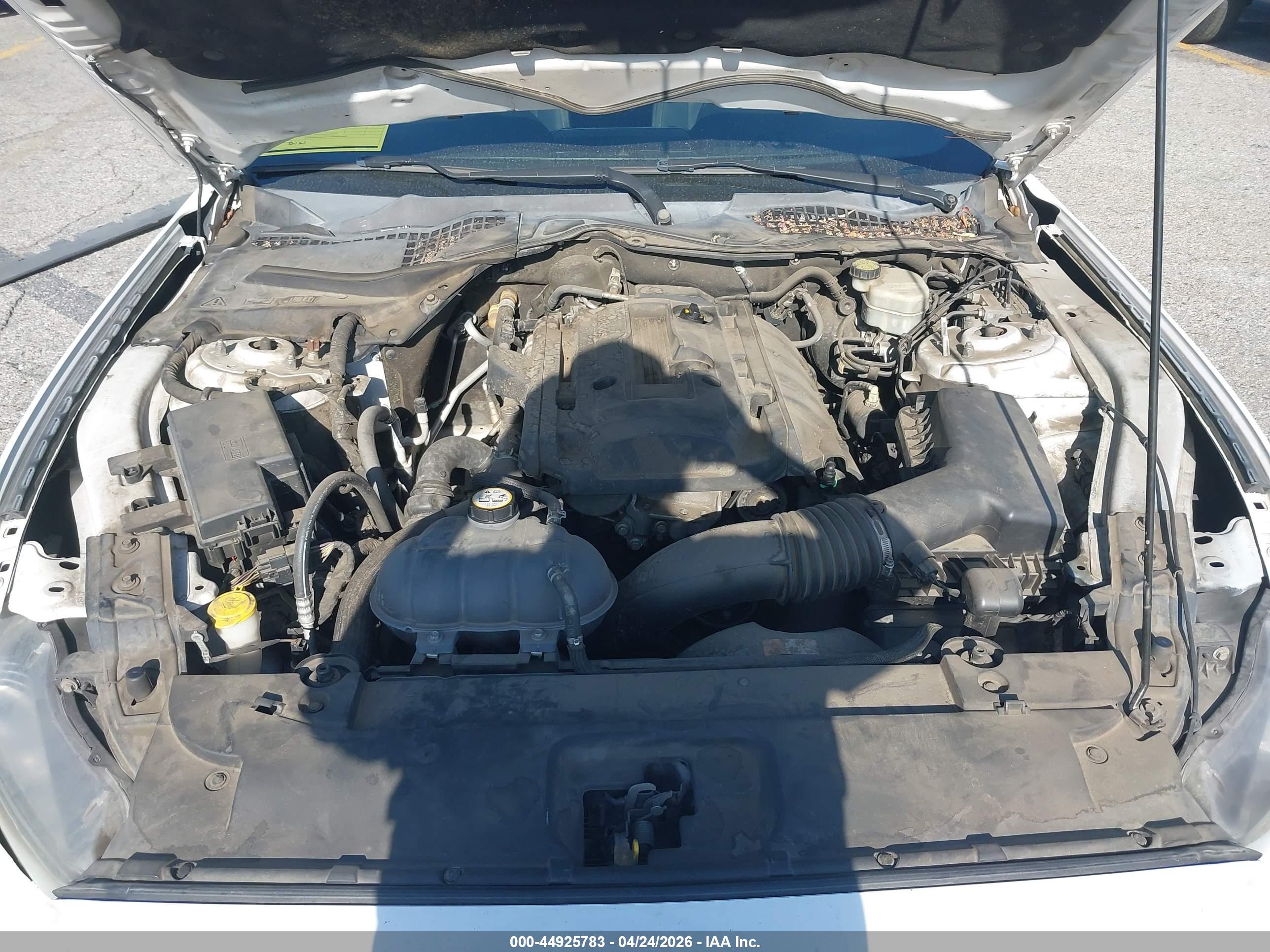 FORD MUSTANG image 10