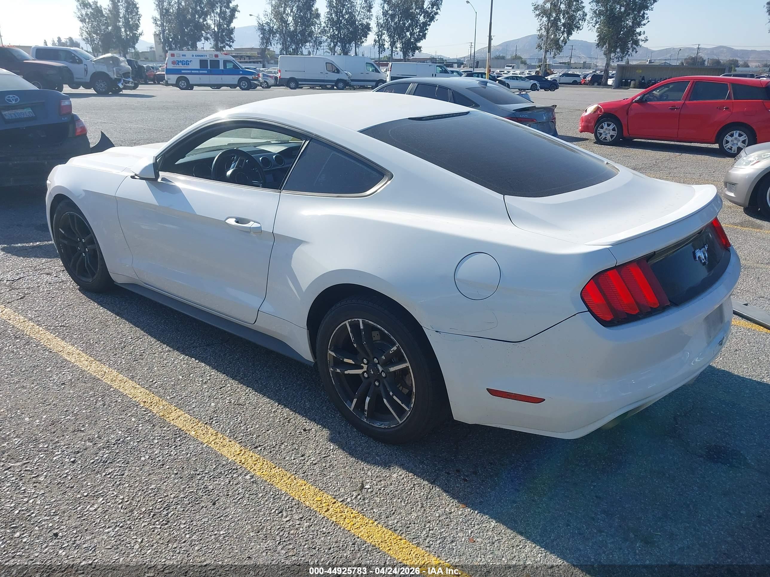 FORD MUSTANG image 3