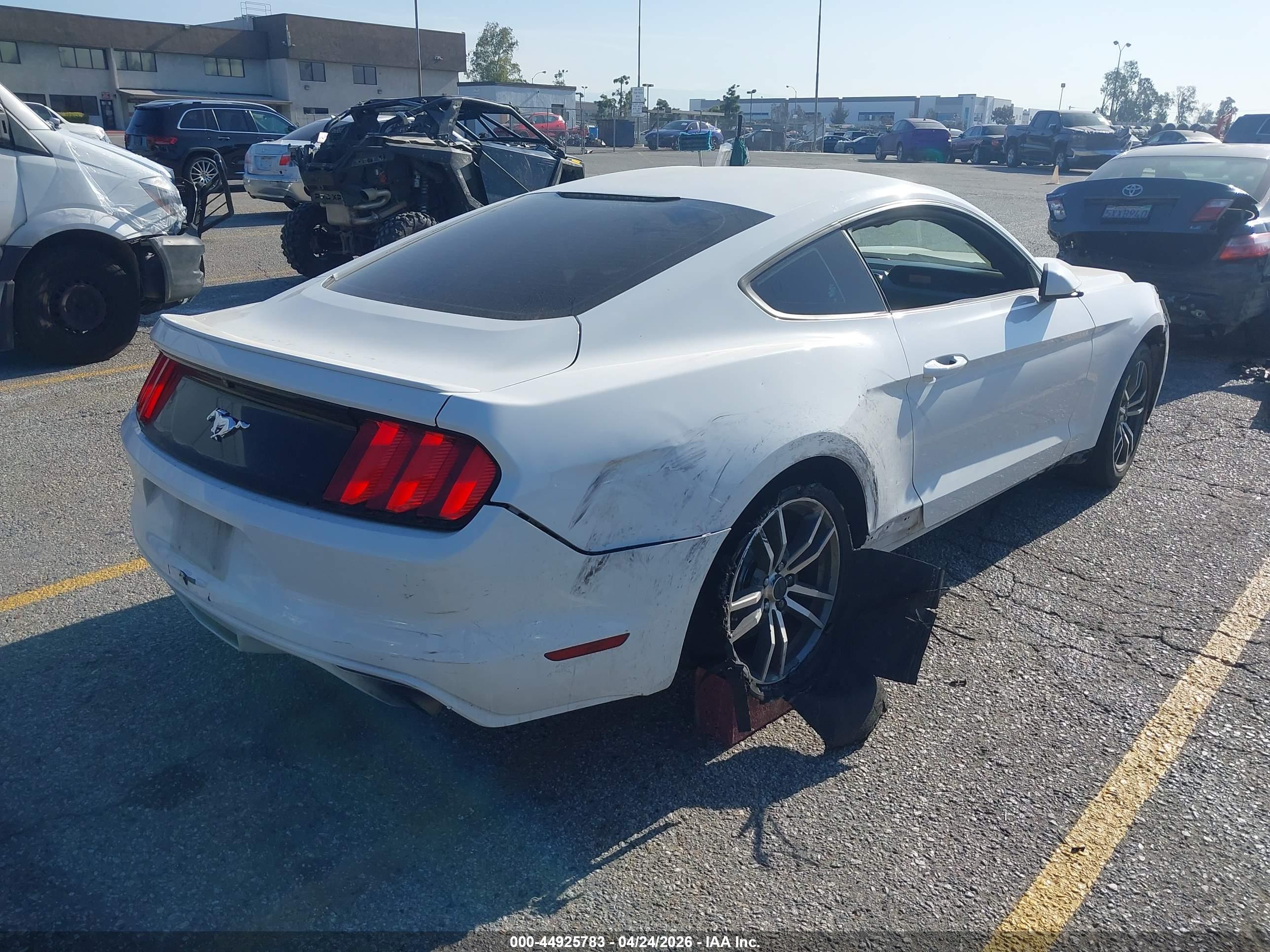 FORD MUSTANG image 4