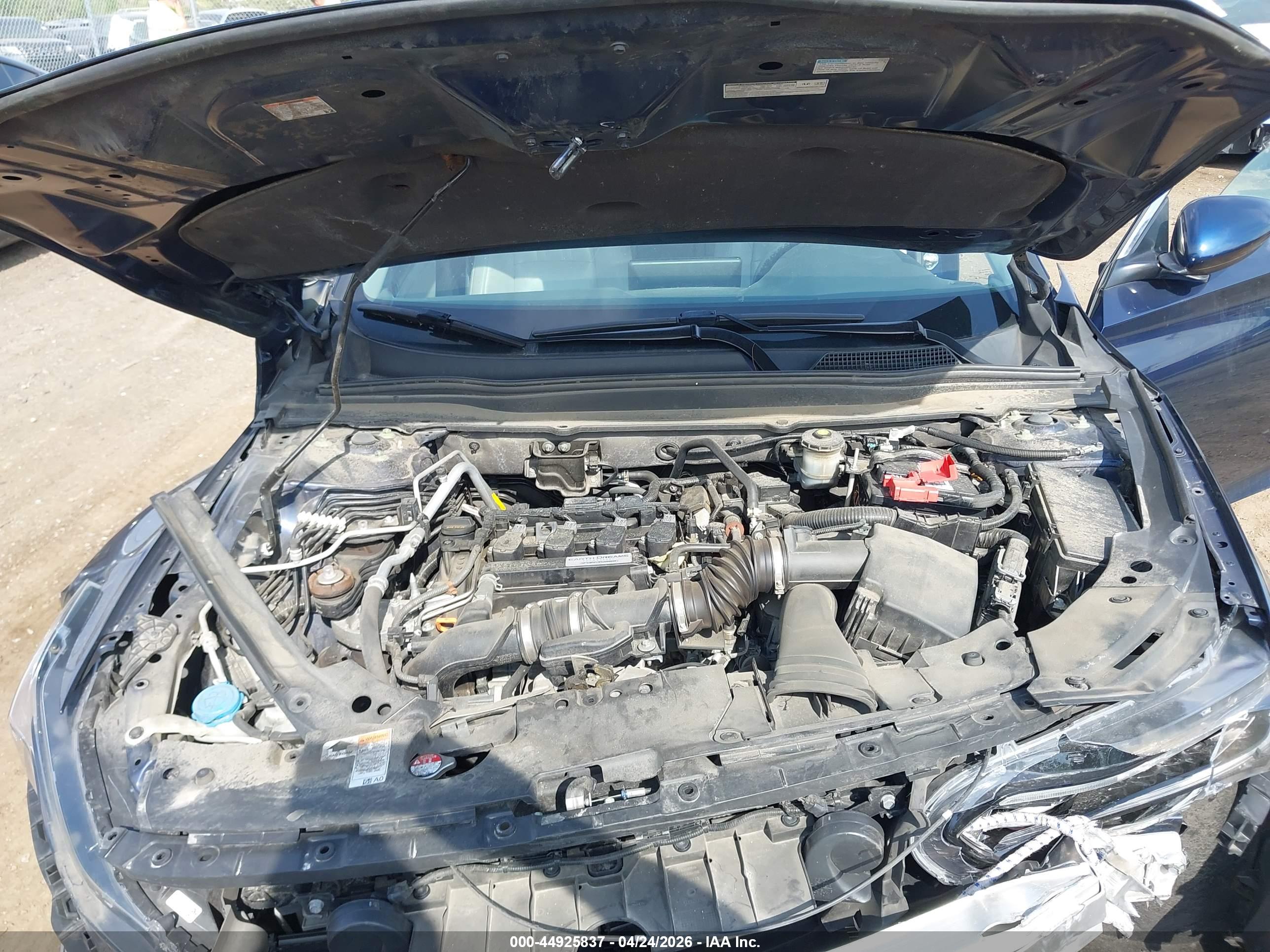 HONDA ACCORD image 10