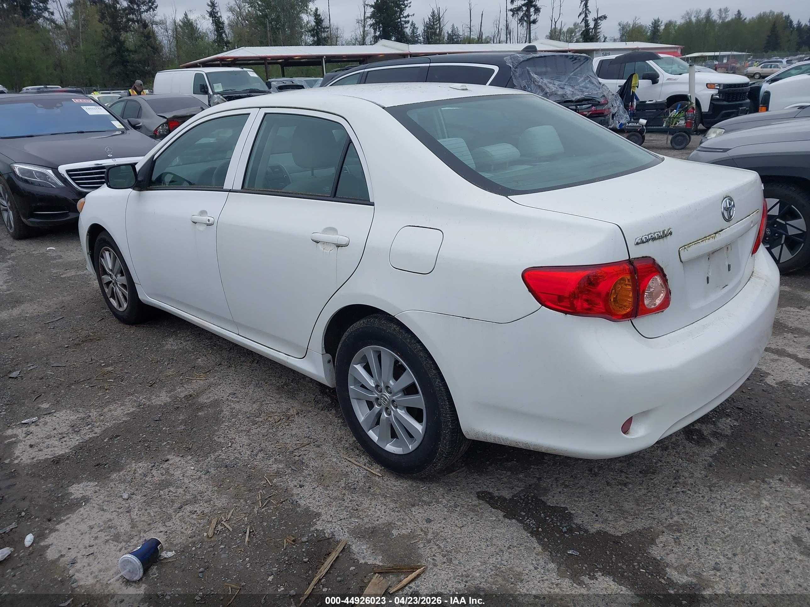 TOYOTA COROLLA image 3