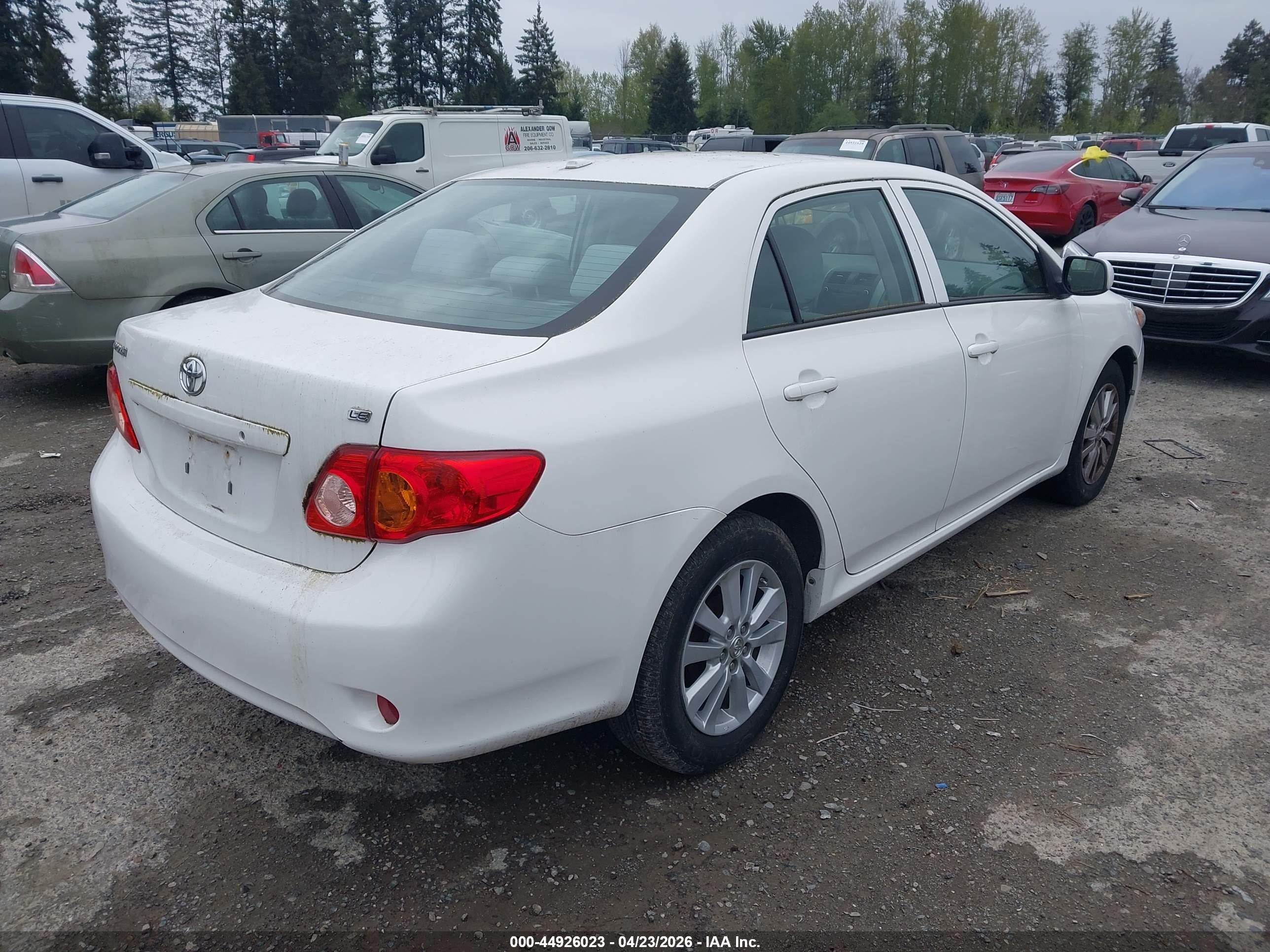 TOYOTA COROLLA image 4