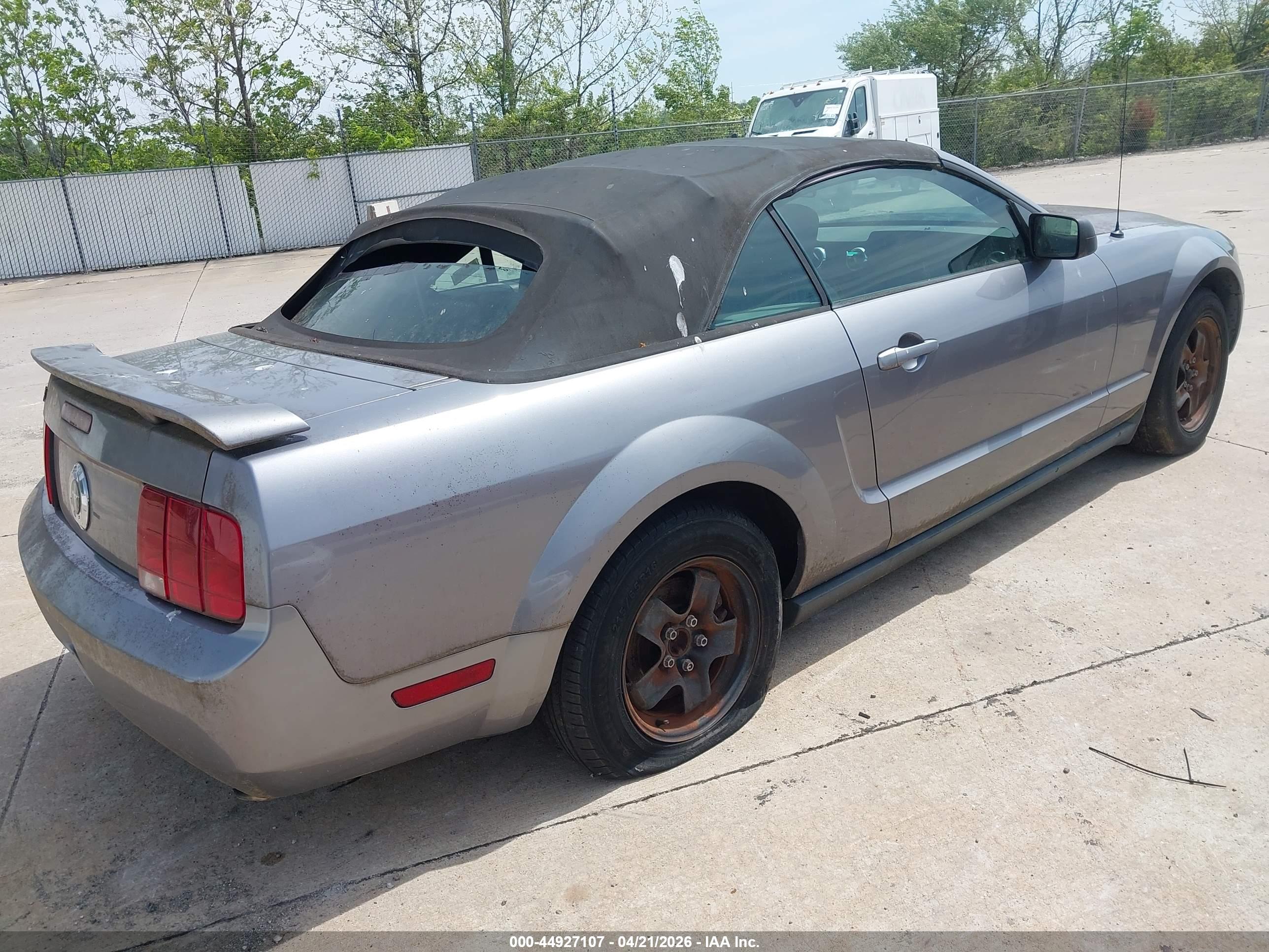 FORD MUSTANG image 4