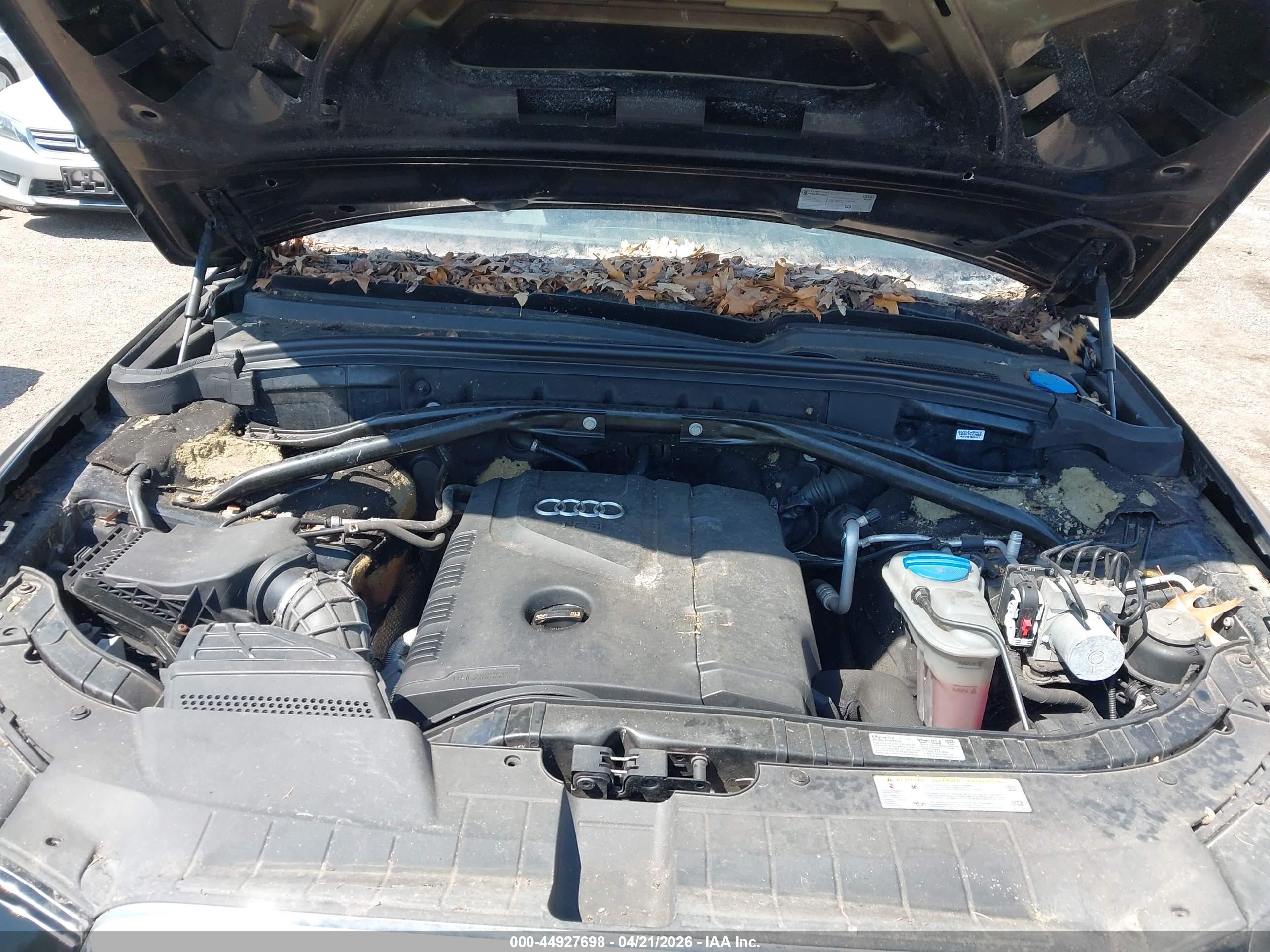 AUDI Q5 image 10