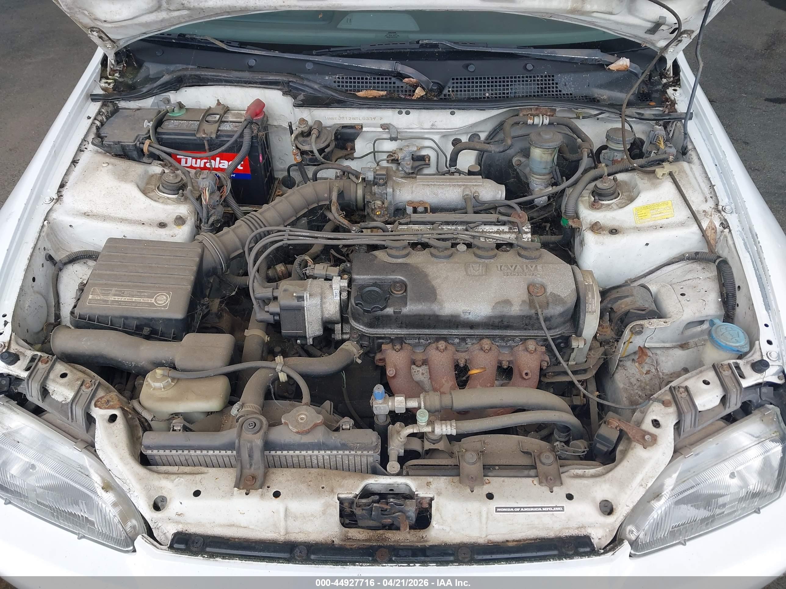 HONDA CIVIC image 10
