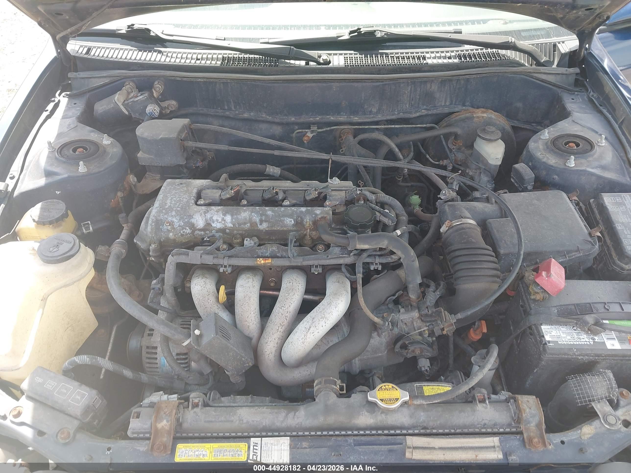 TOYOTA COROLLA image 10