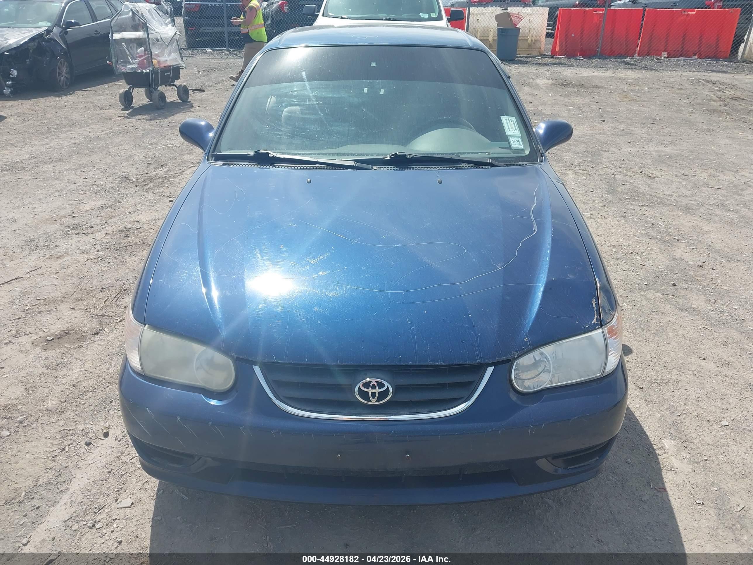 TOYOTA COROLLA image 6