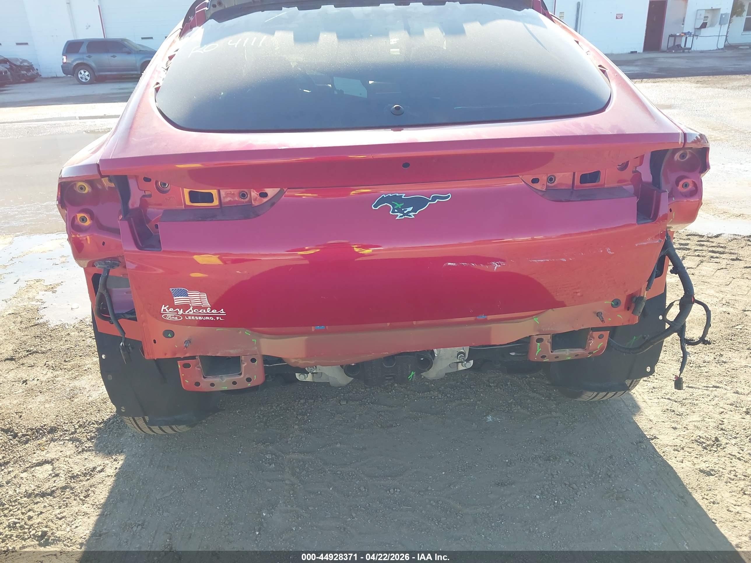 FORD MUSTANG image 6