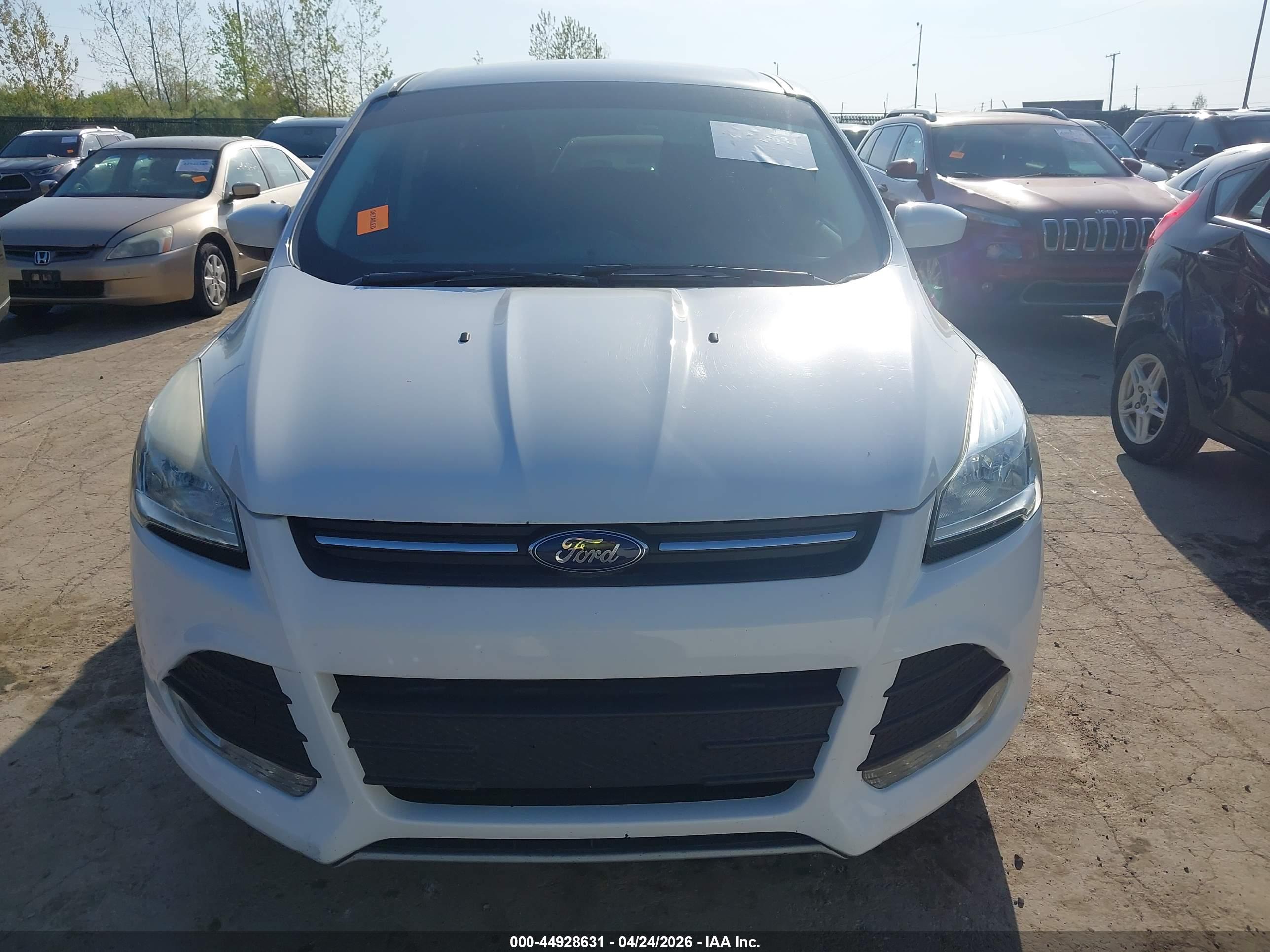 FORD ESCAPE image 6