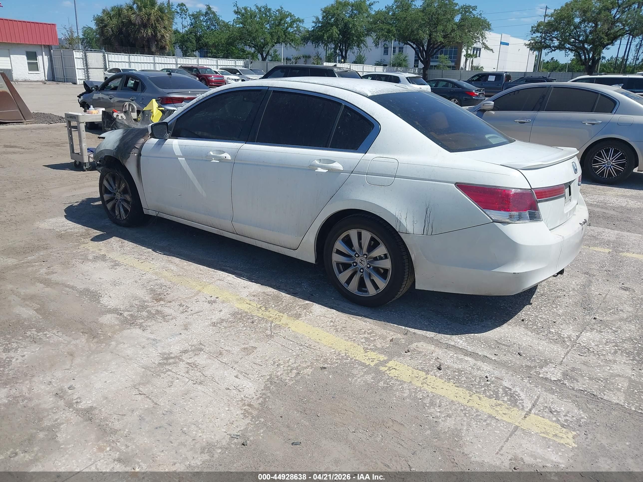 HONDA ACCORD image 3