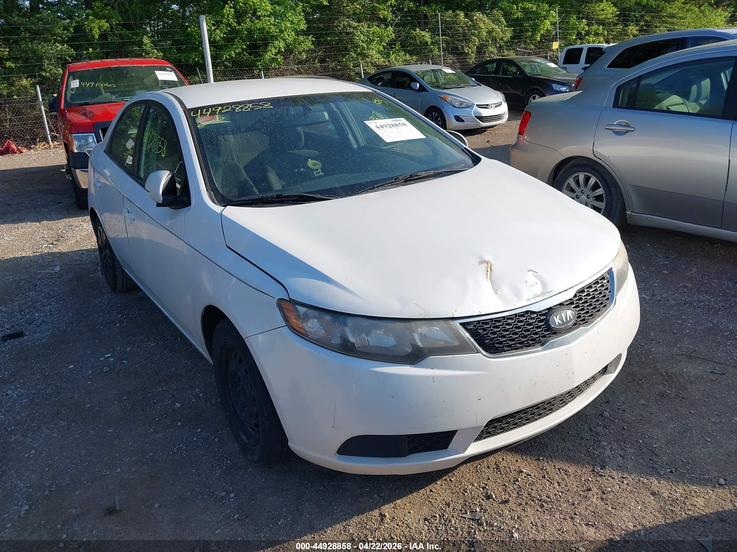 KIA FORTE image 6