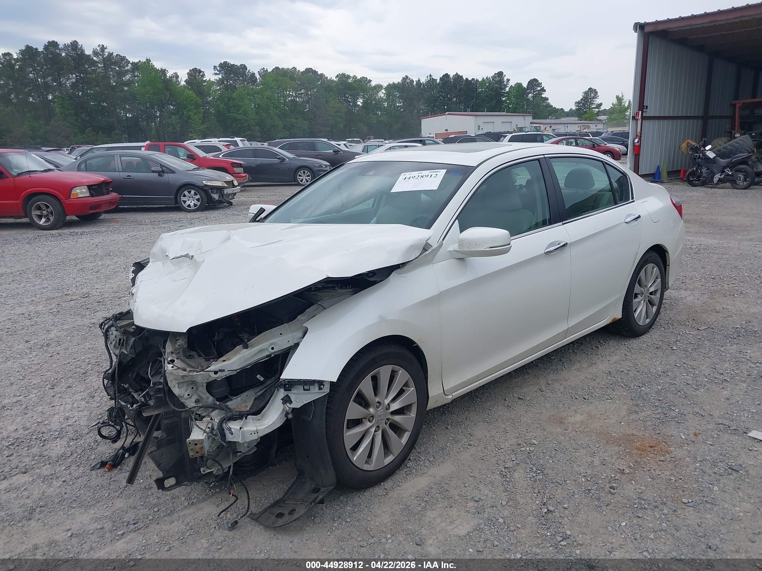 HONDA ACCORD image 2