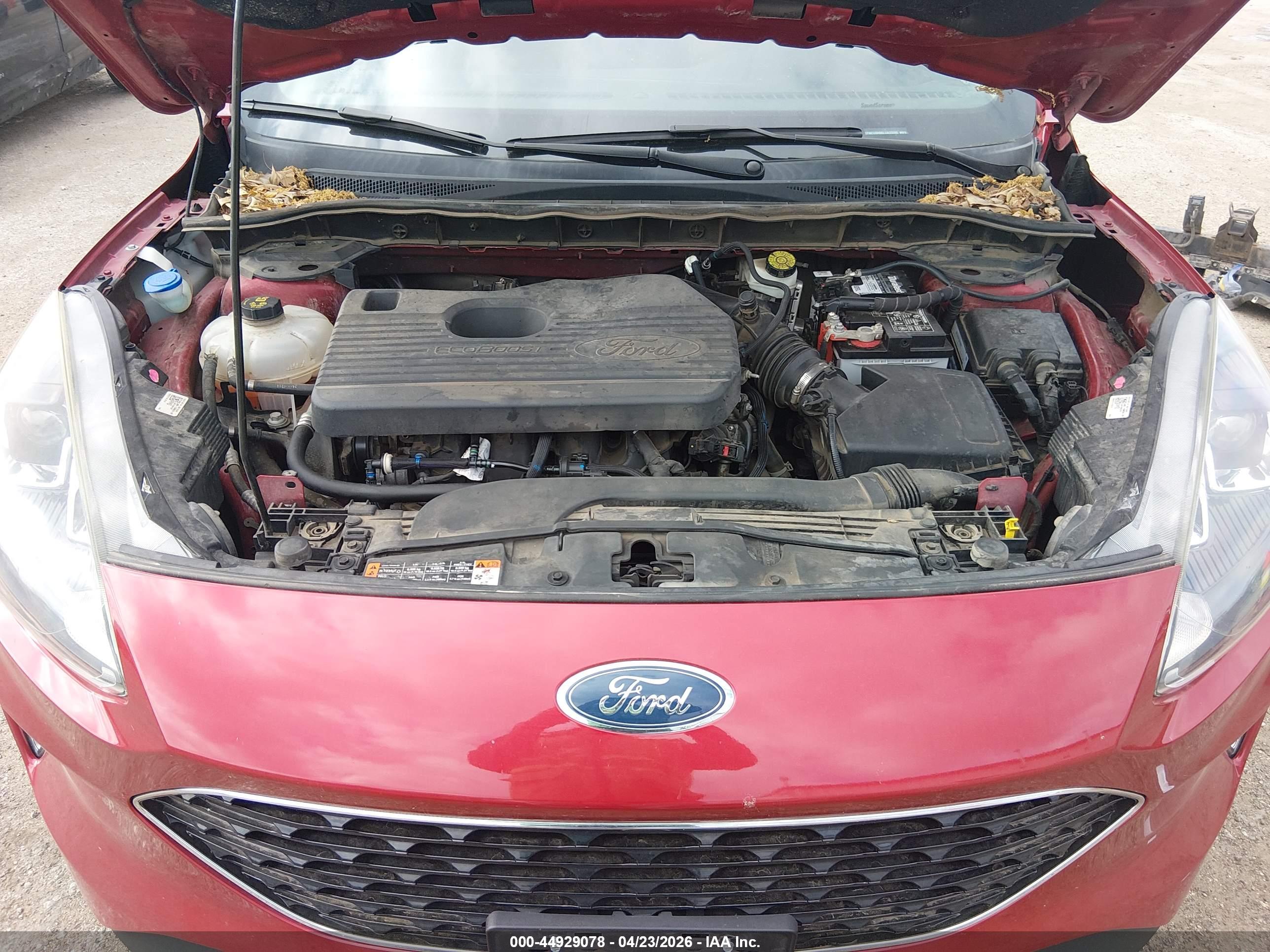 FORD ESCAPE image 10