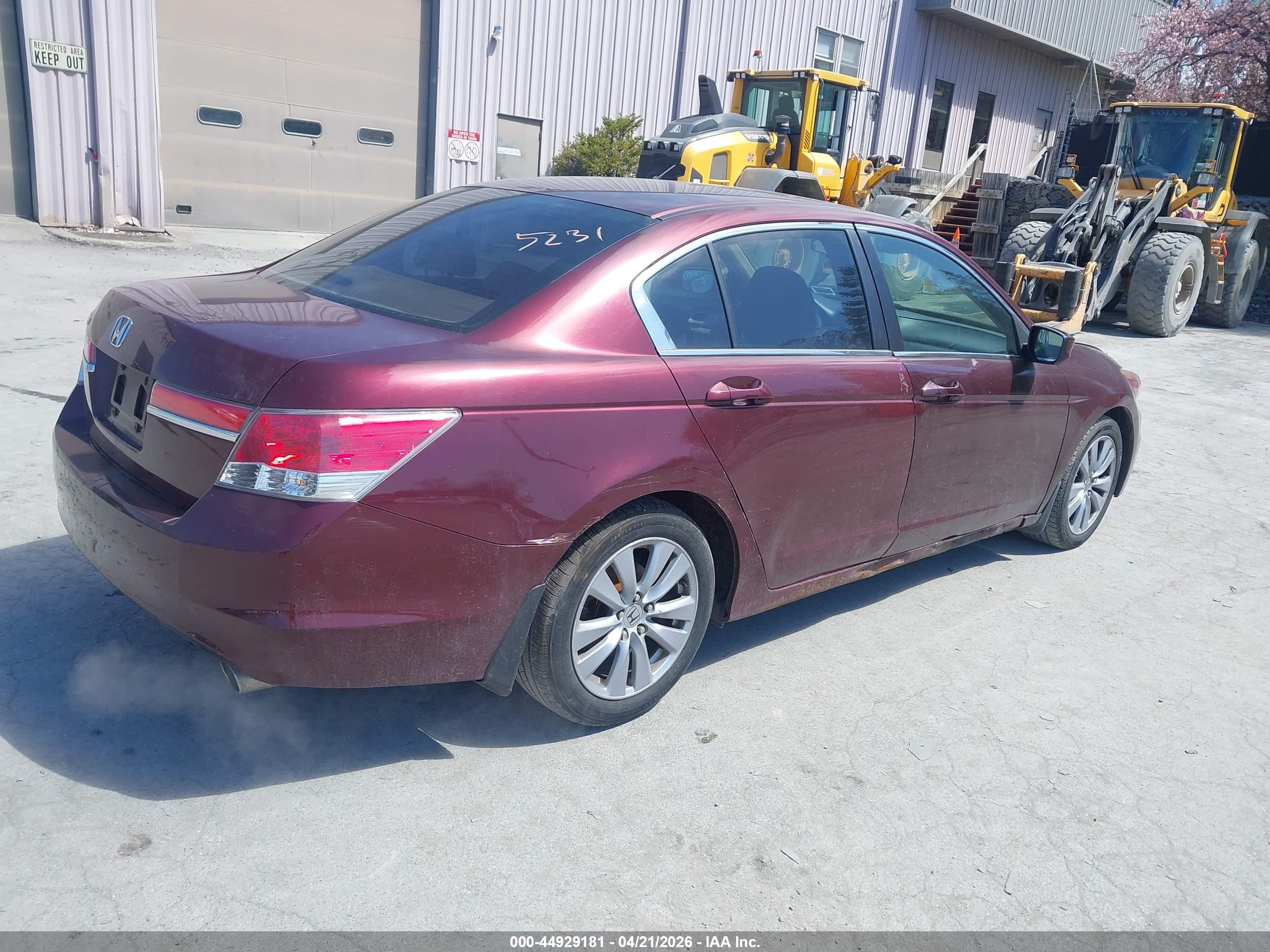 HONDA ACCORD image 4